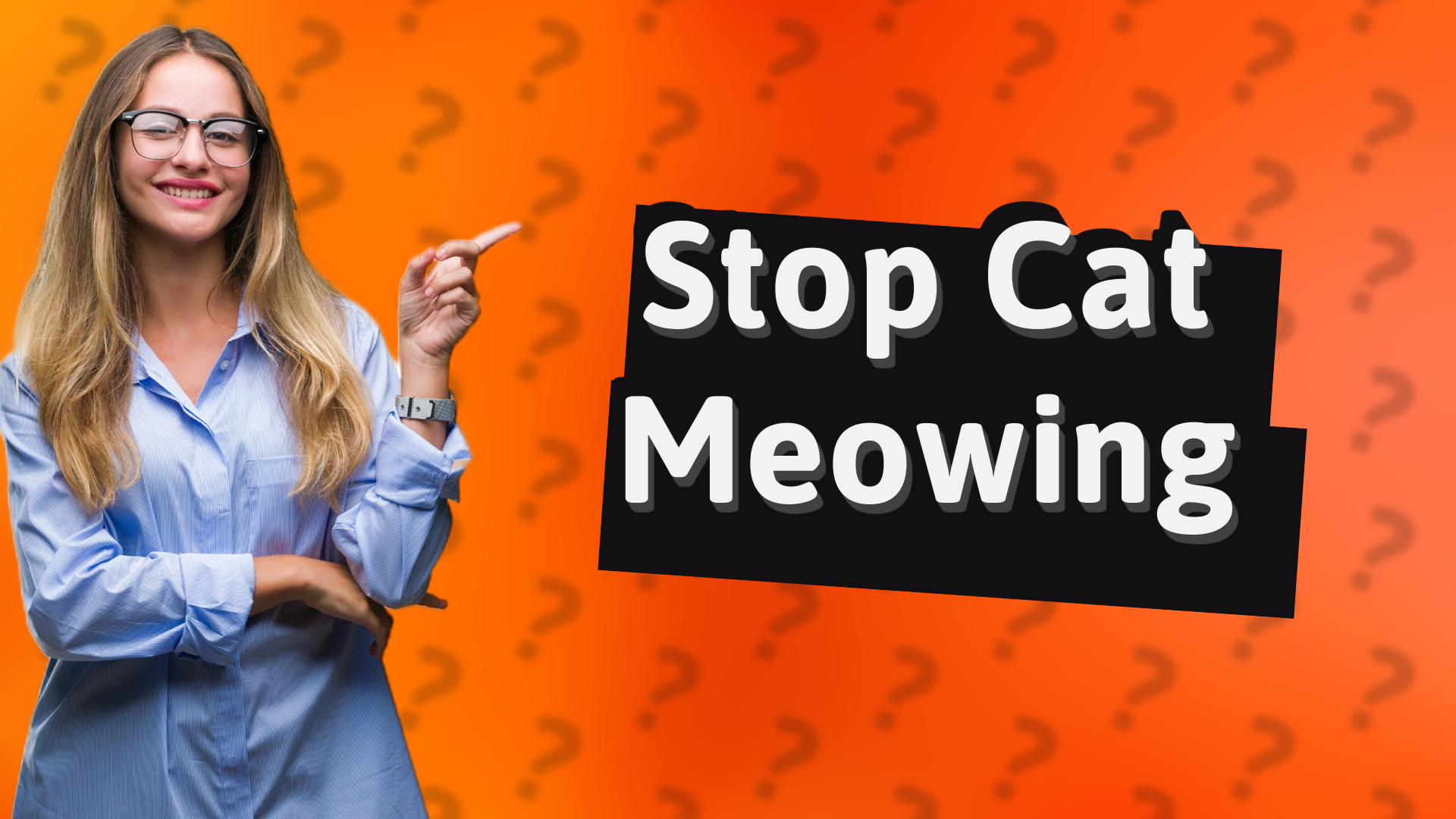 Stop Cat Meowing