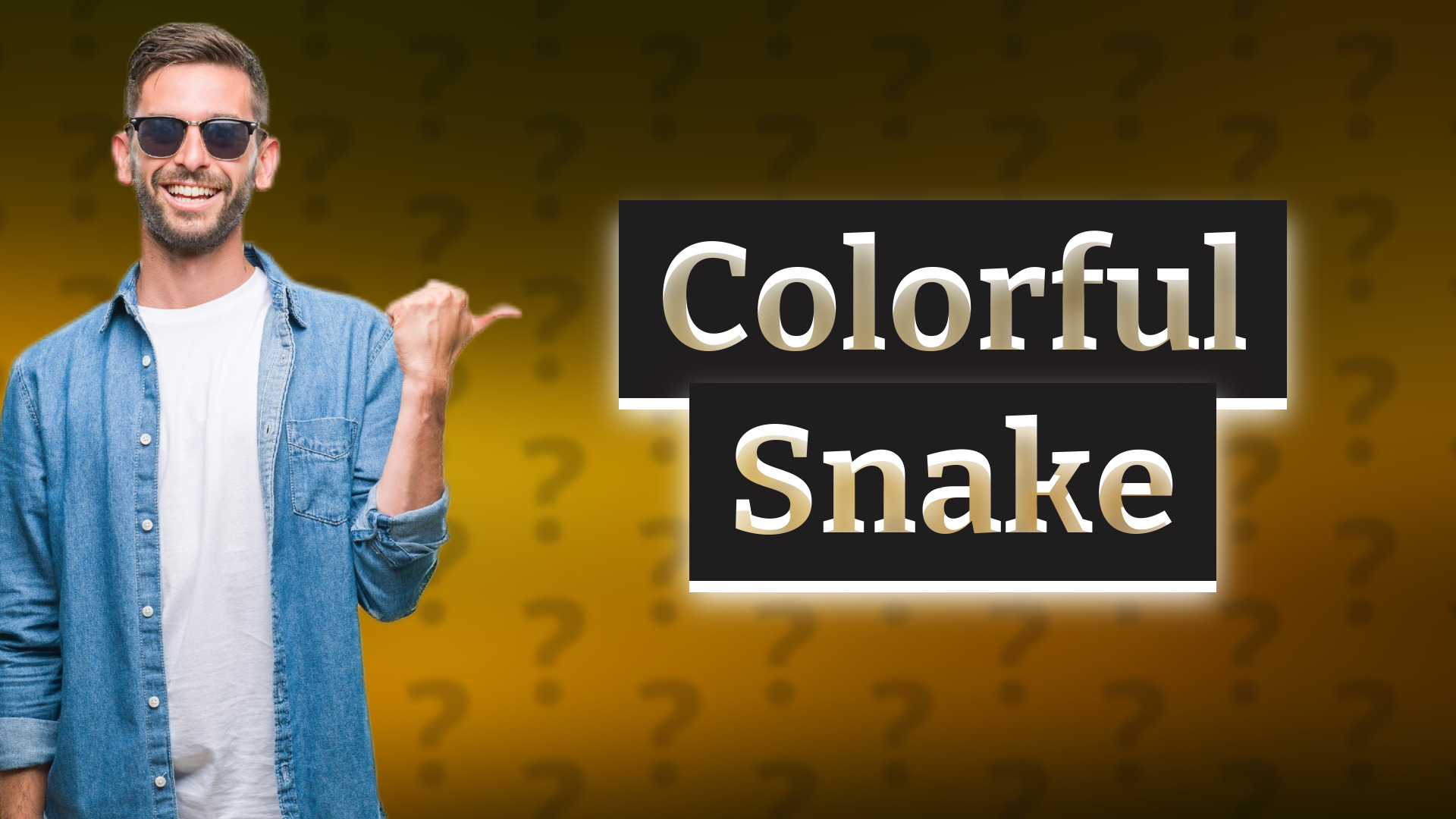 Colorful Snake