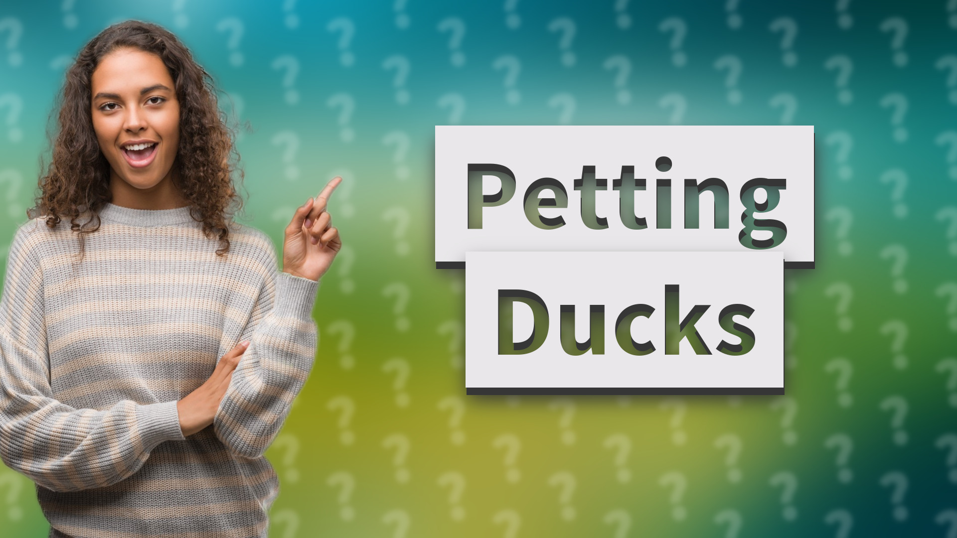 Petting Ducks