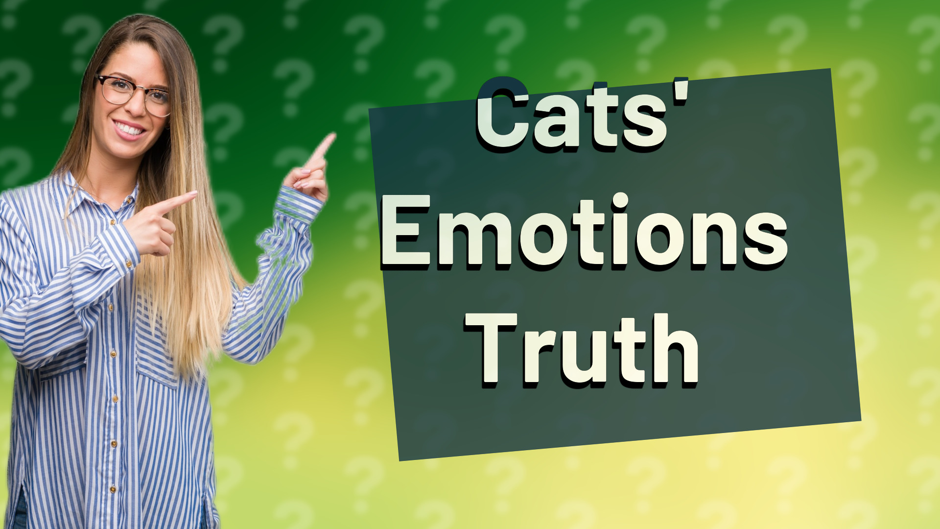 Cats' Emotions Truth