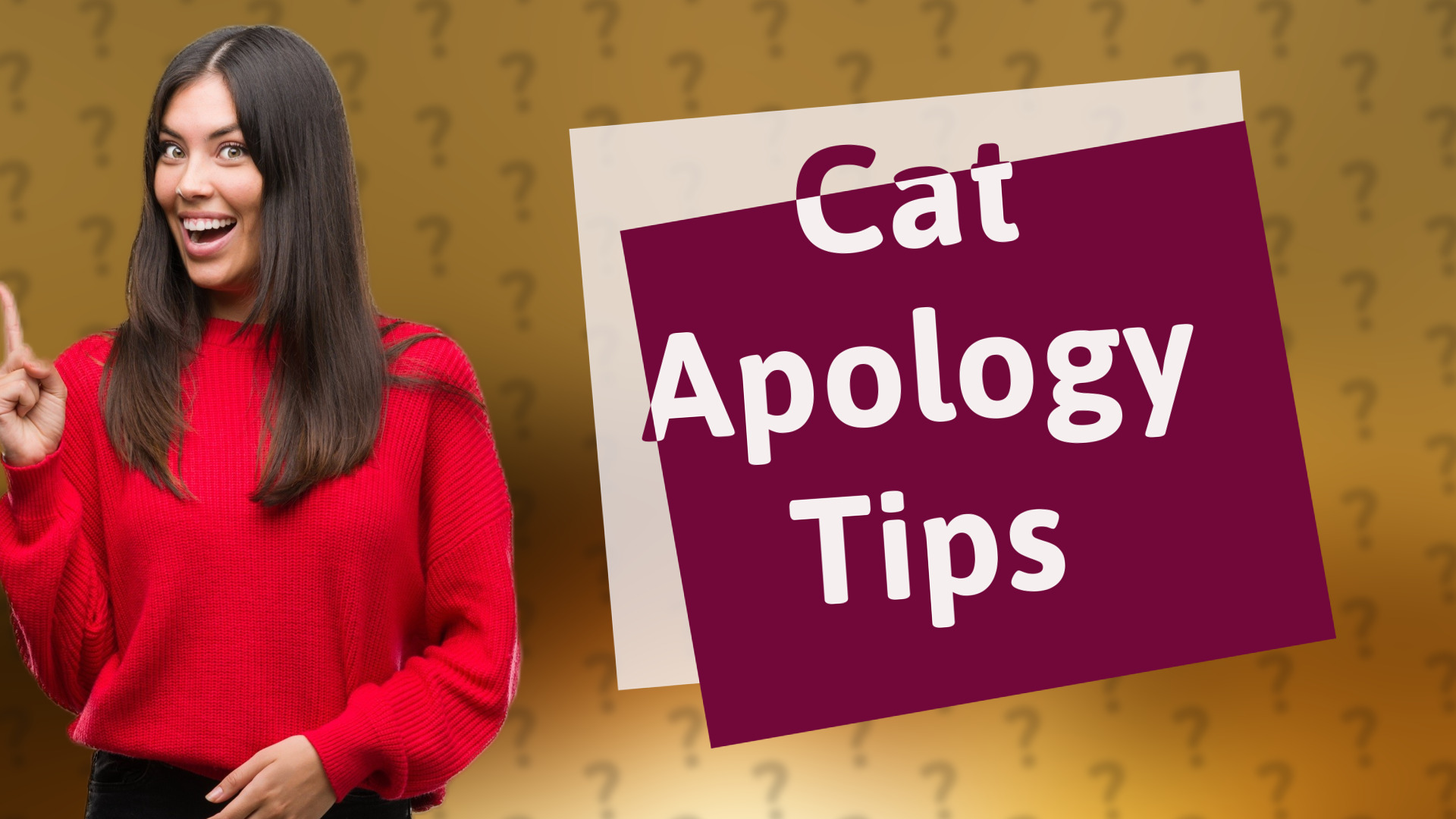 Cat Apology Tips