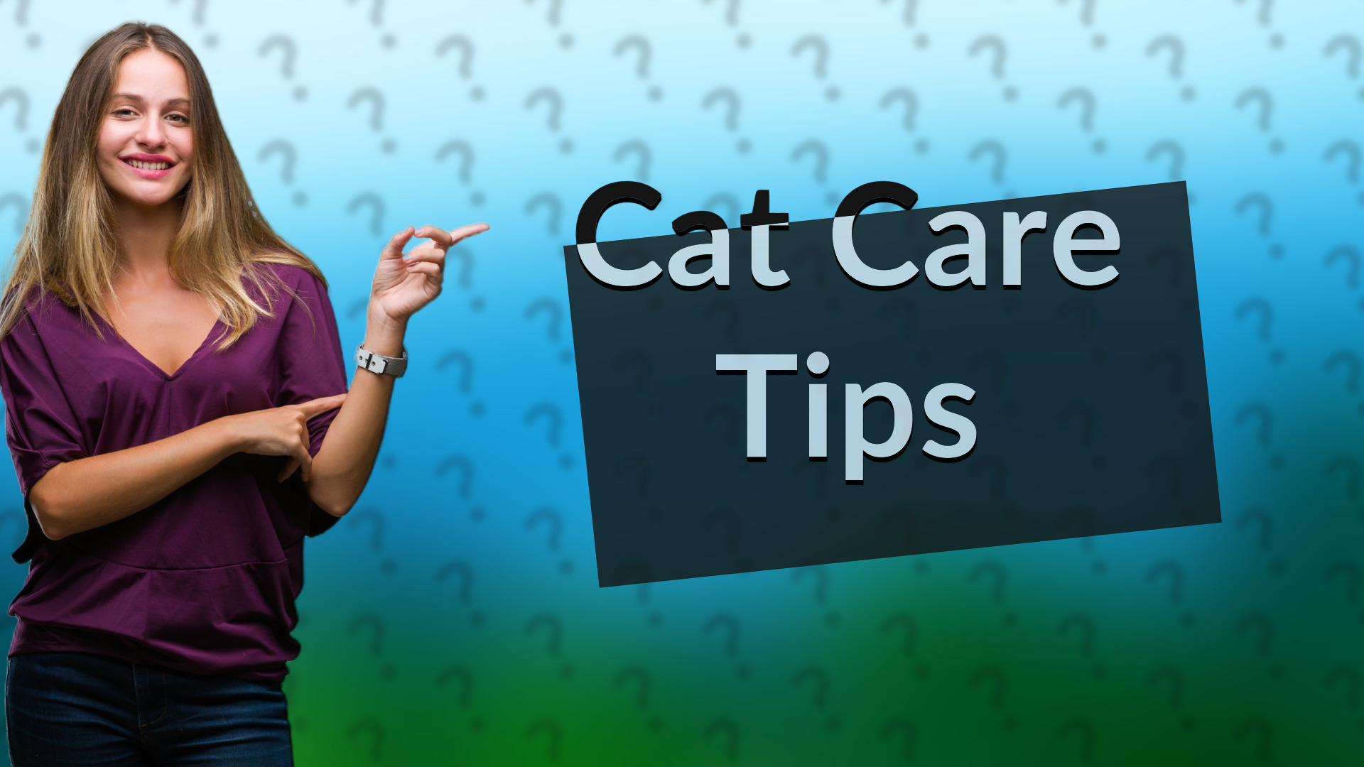 Cat Care Tips