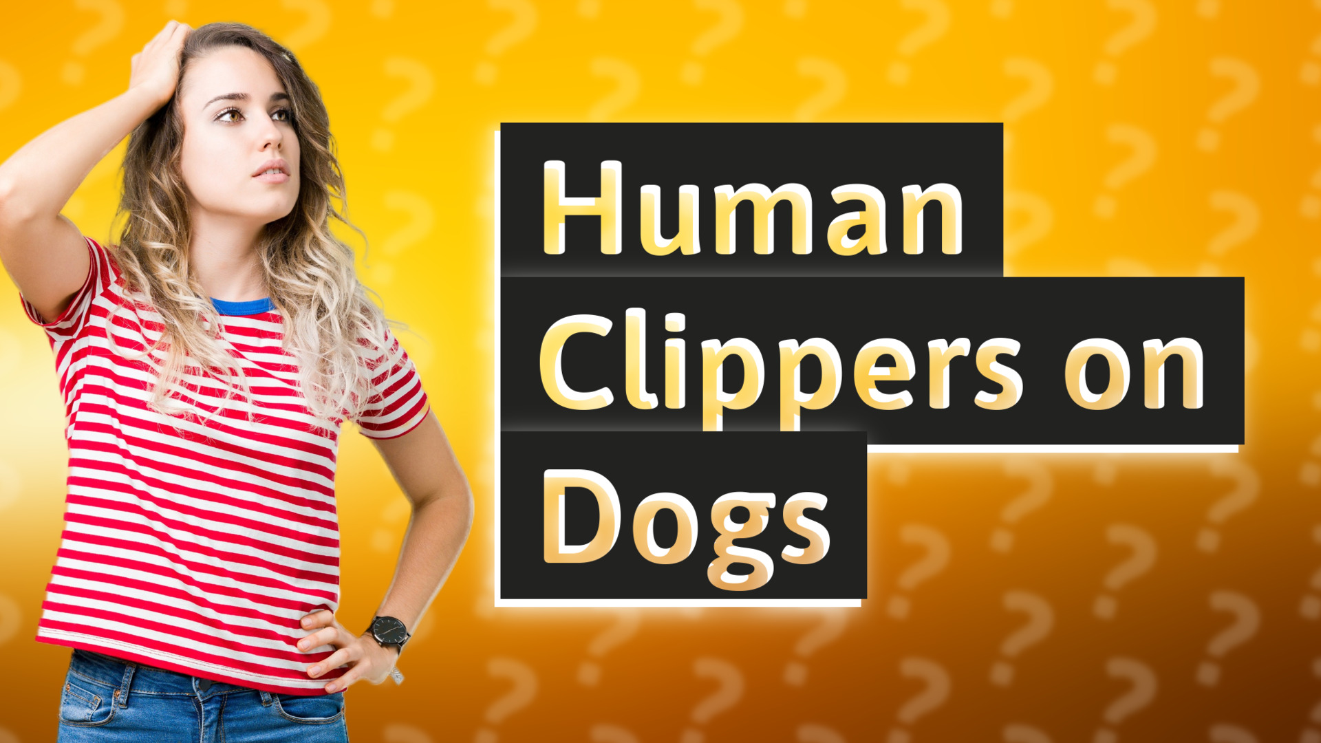 Human Clippers on Dogs