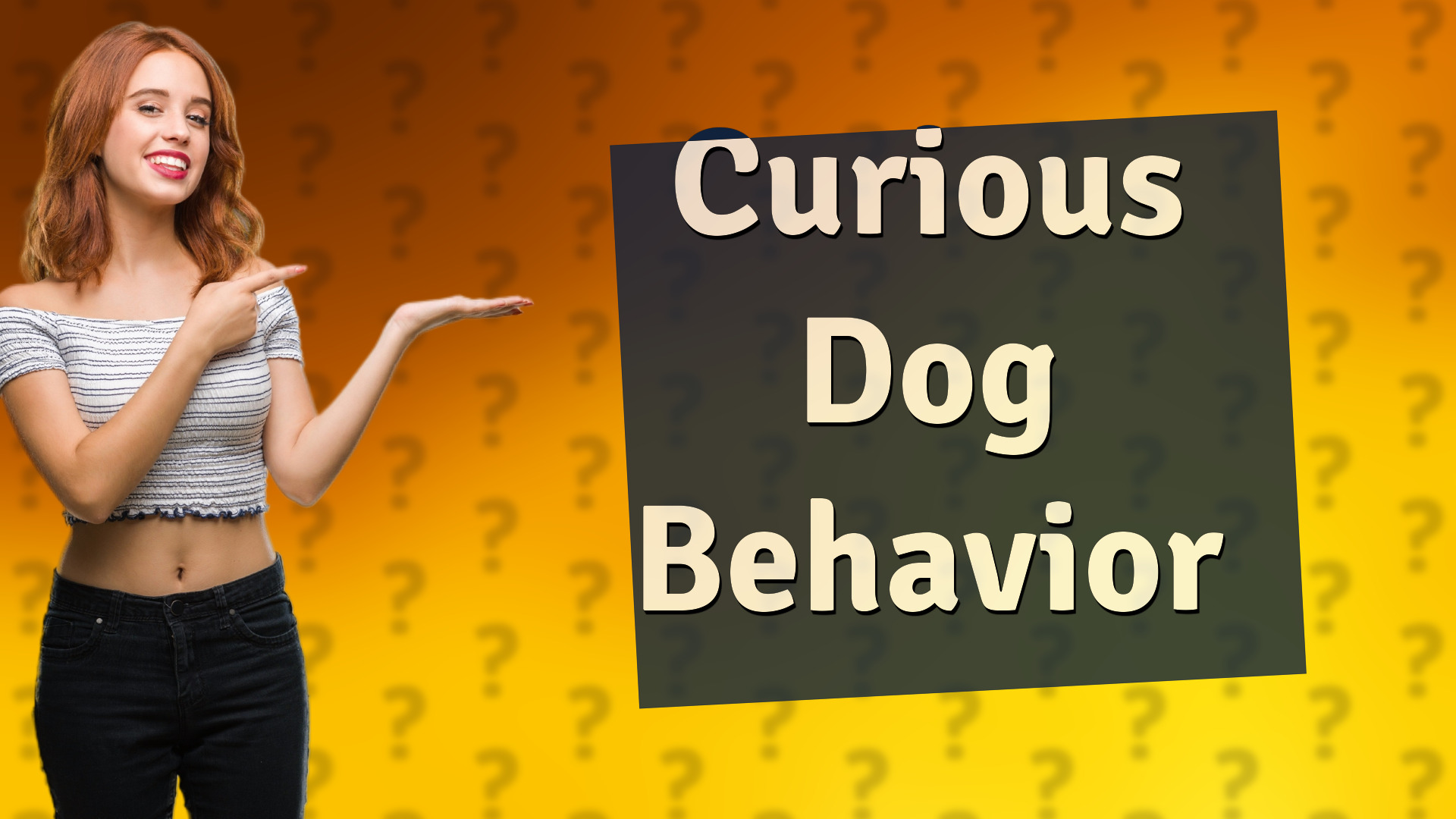 Curious Dog Behavior