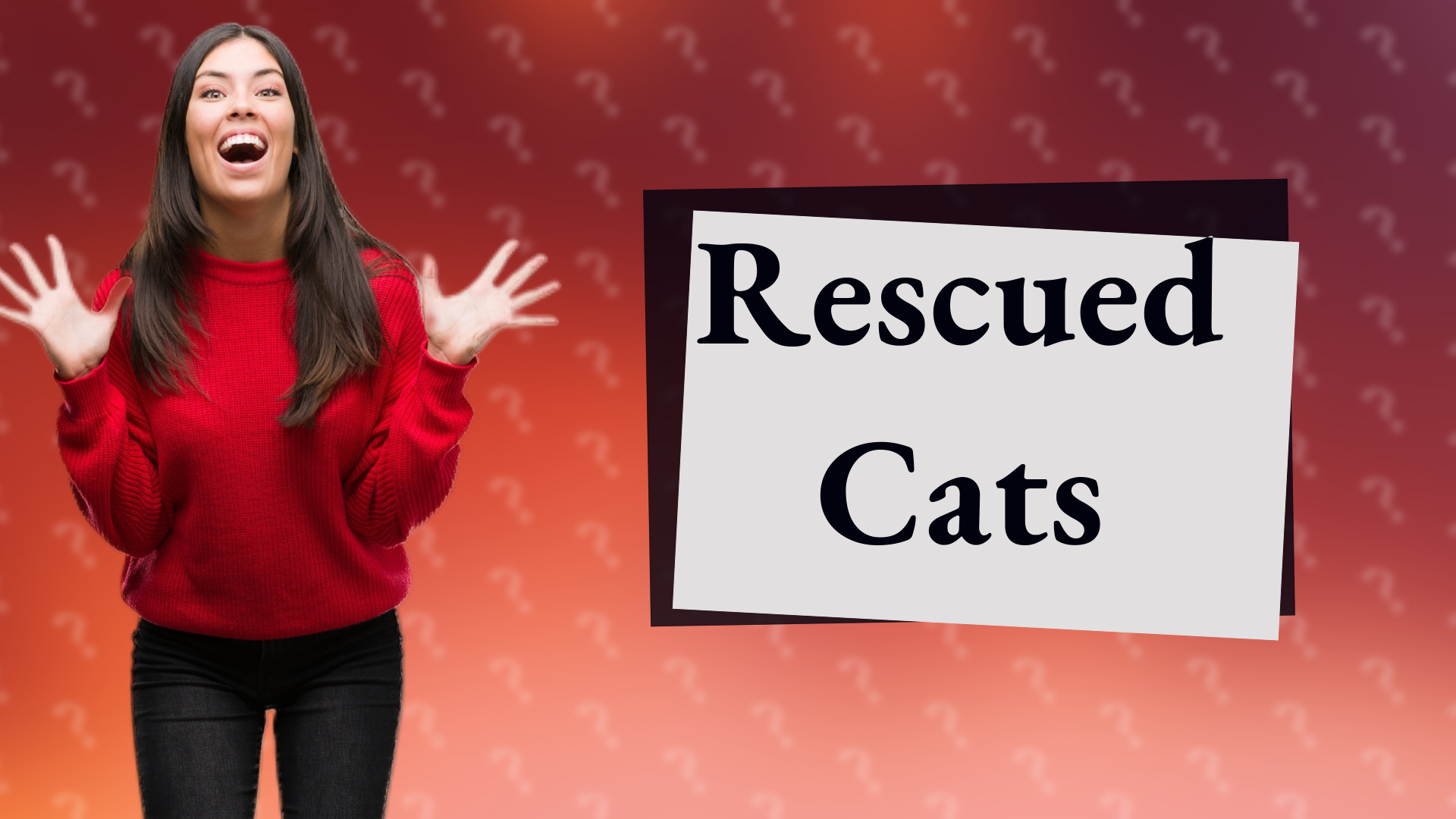Rescued Cats