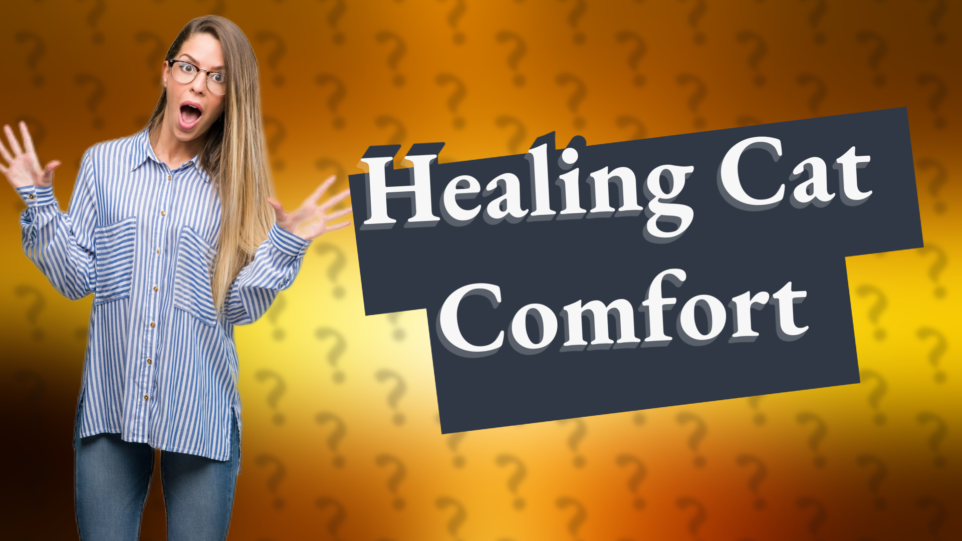 Healing Cat Comfort