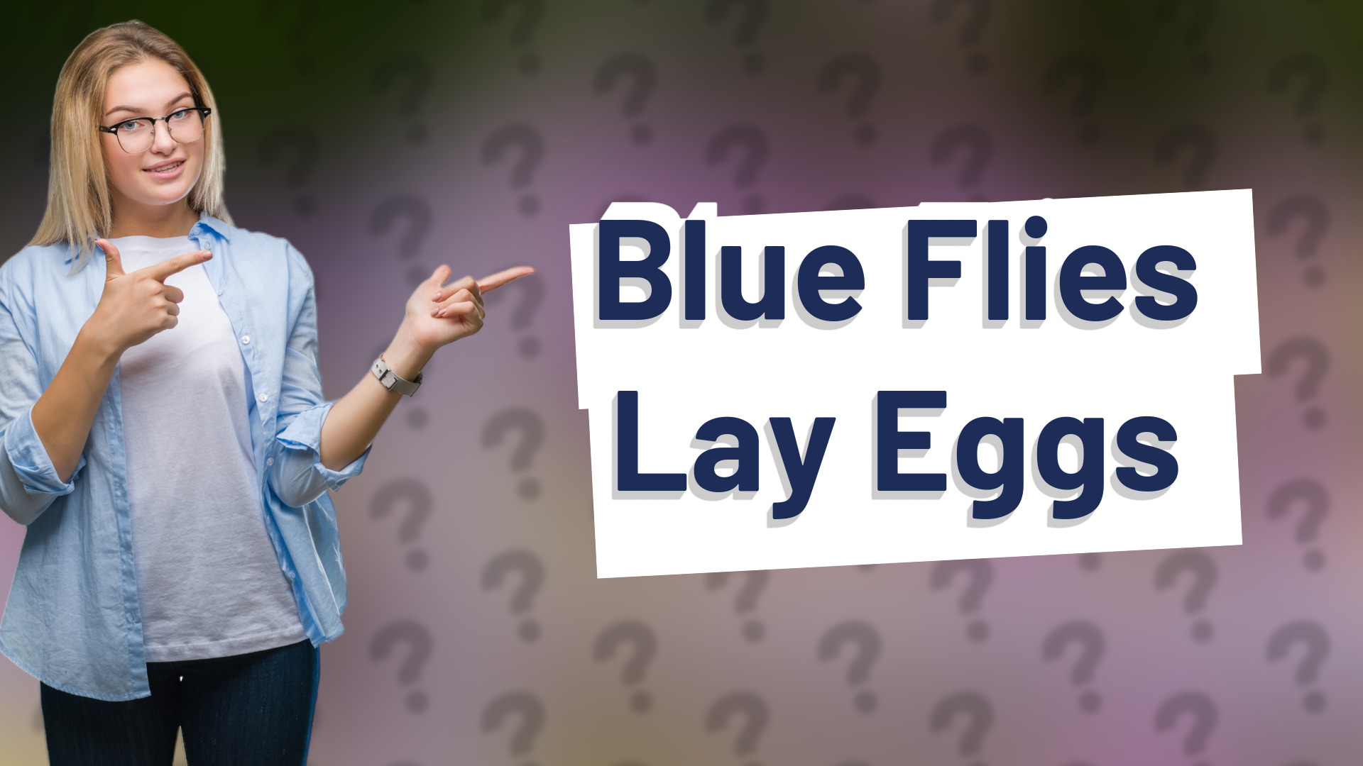 Blue Flies Lay Eggs