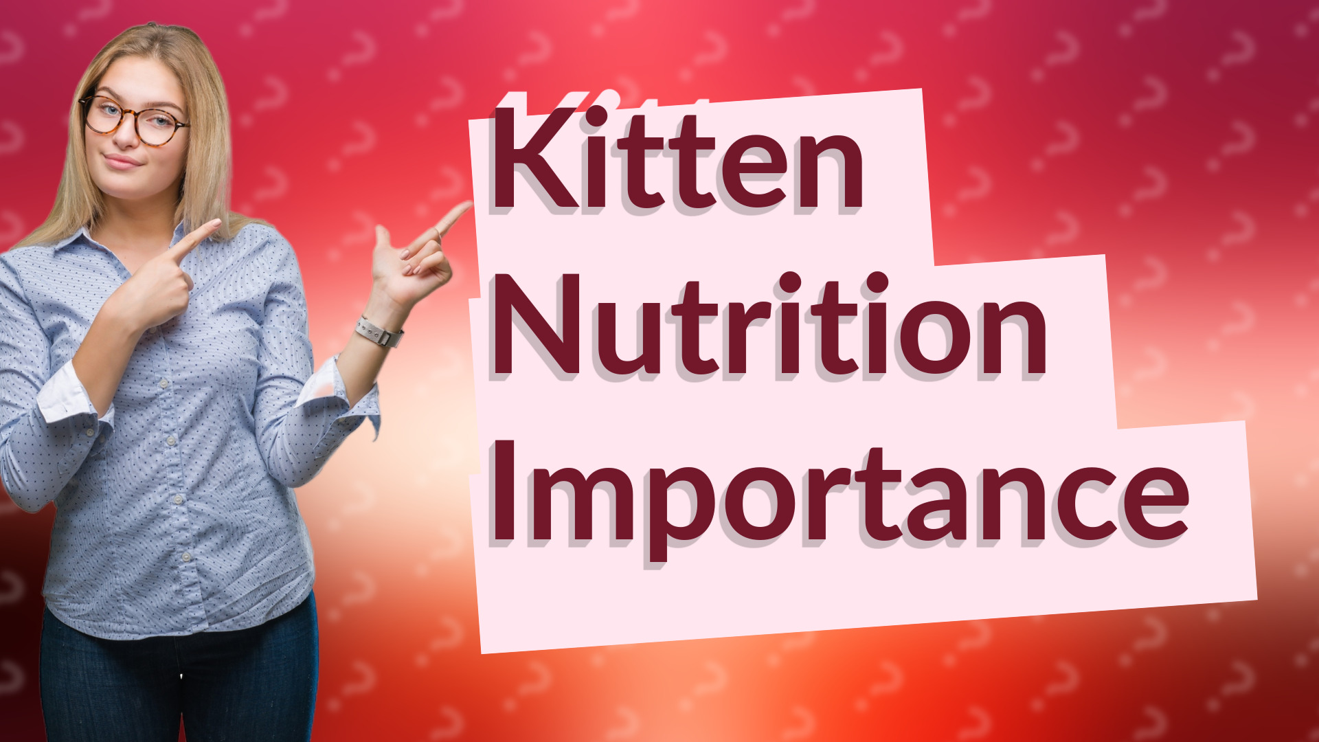 Kitten Nutrition Importance