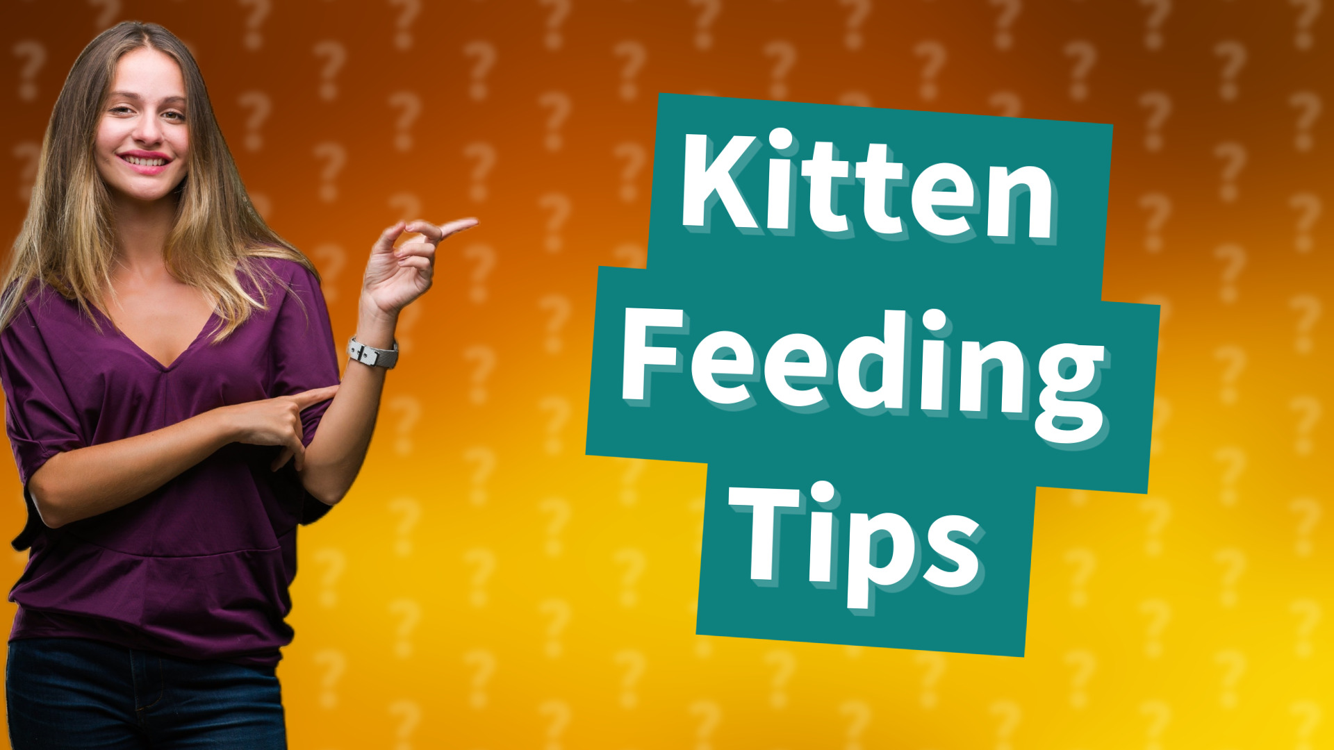 Kitten Feeding Tips