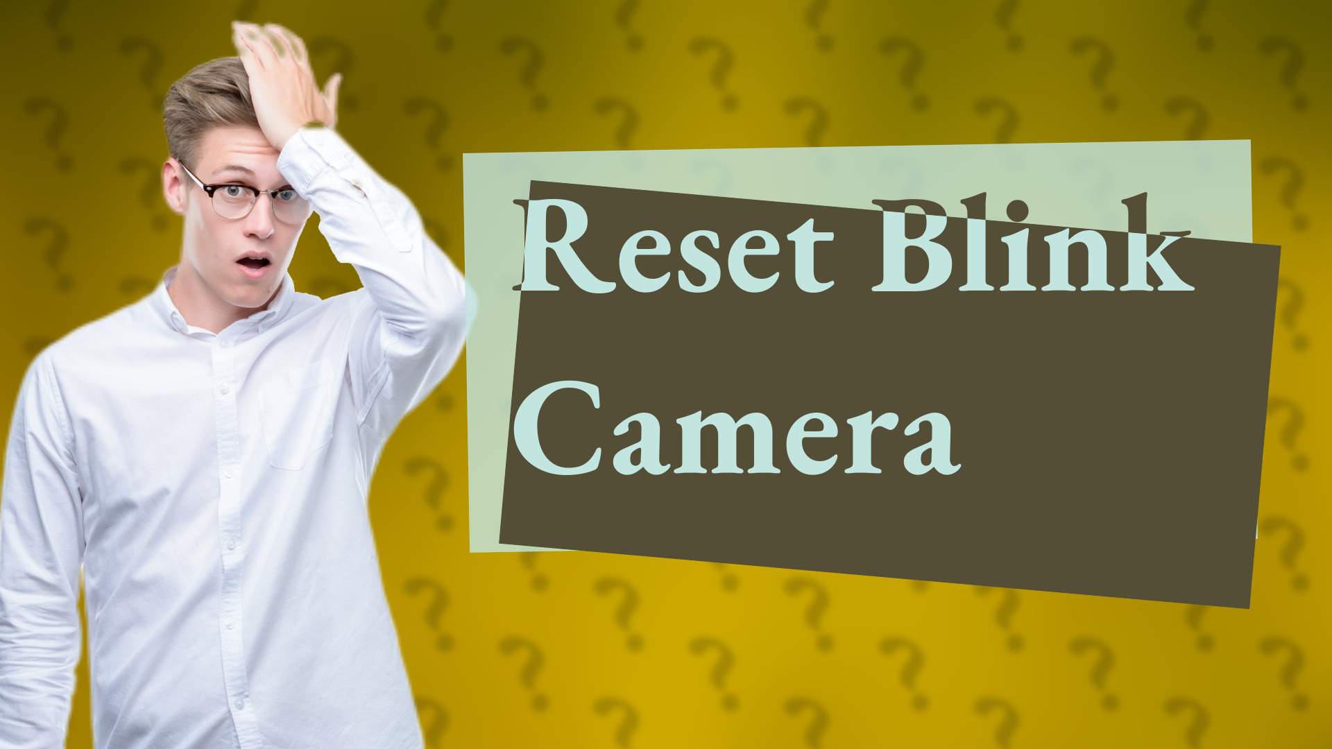Reset Blink Camera
