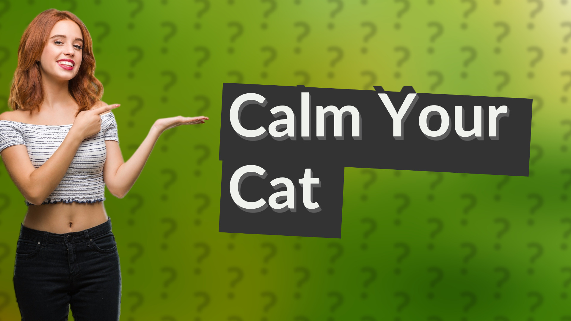 Calm Your Cat