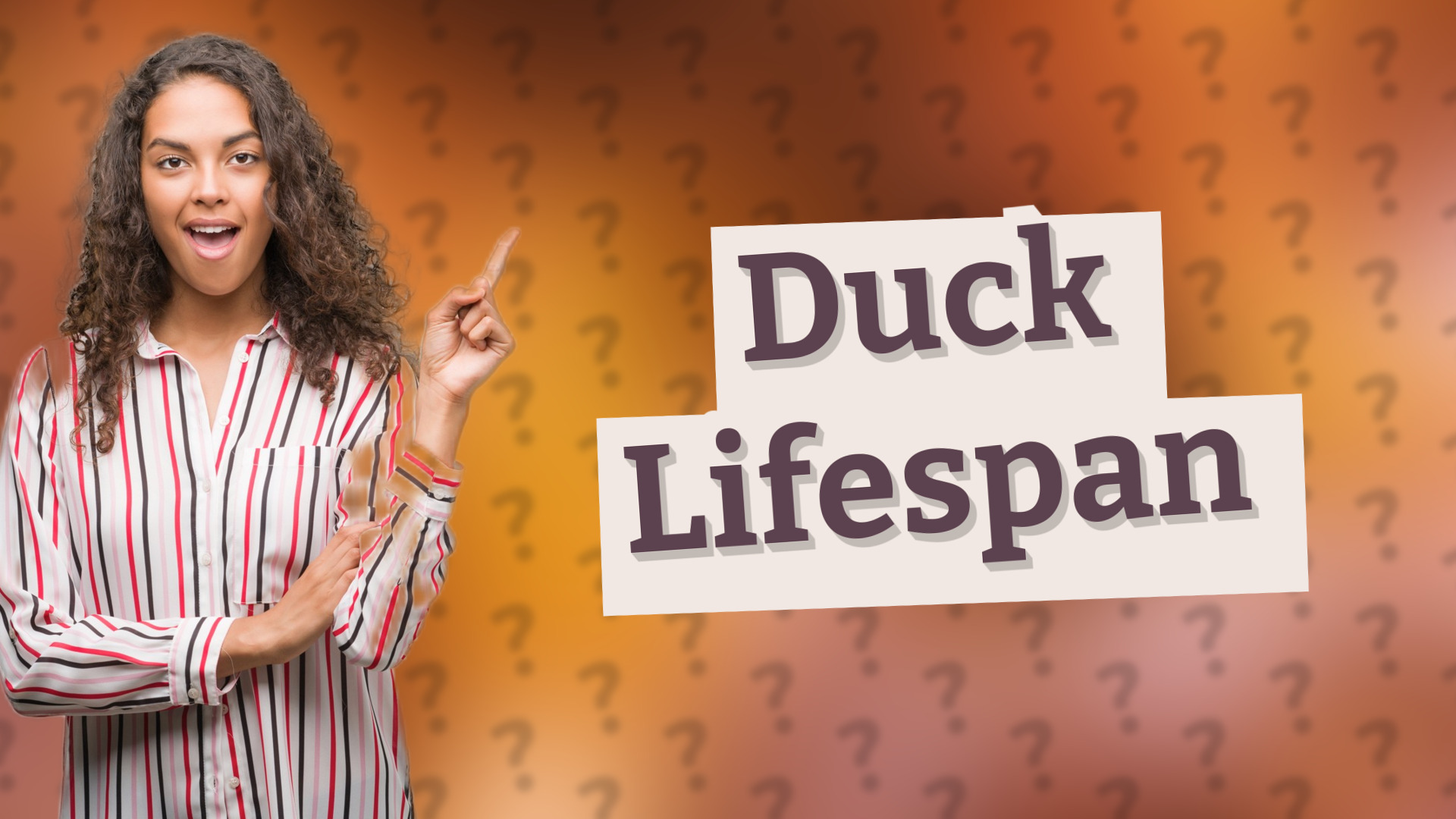 Duck Lifespan