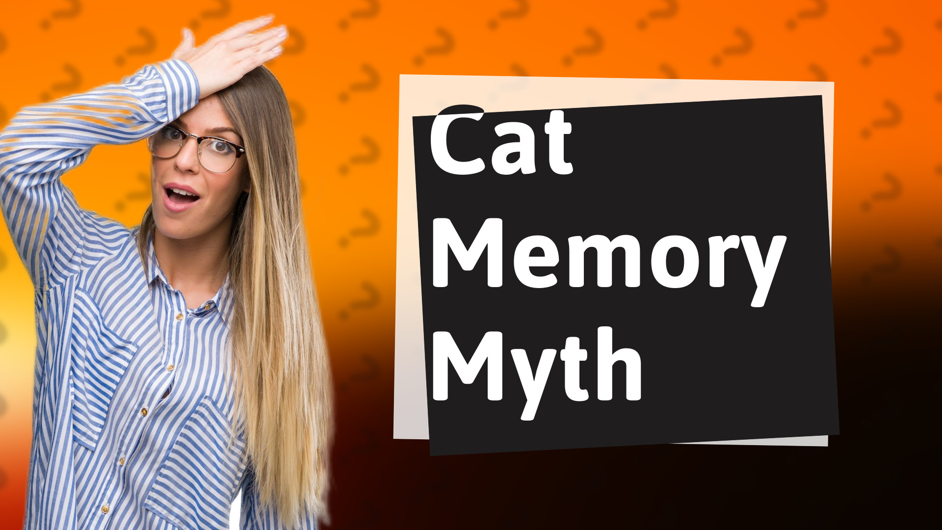 Cat Memory Myth