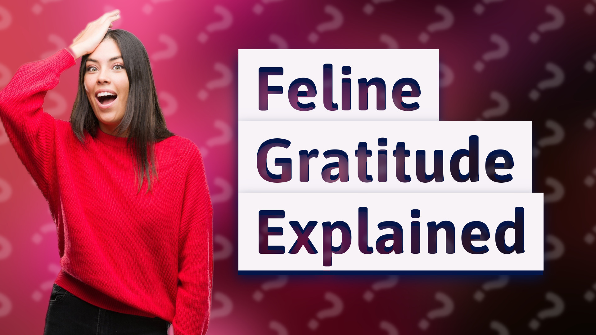 Feline Gratitude Explained