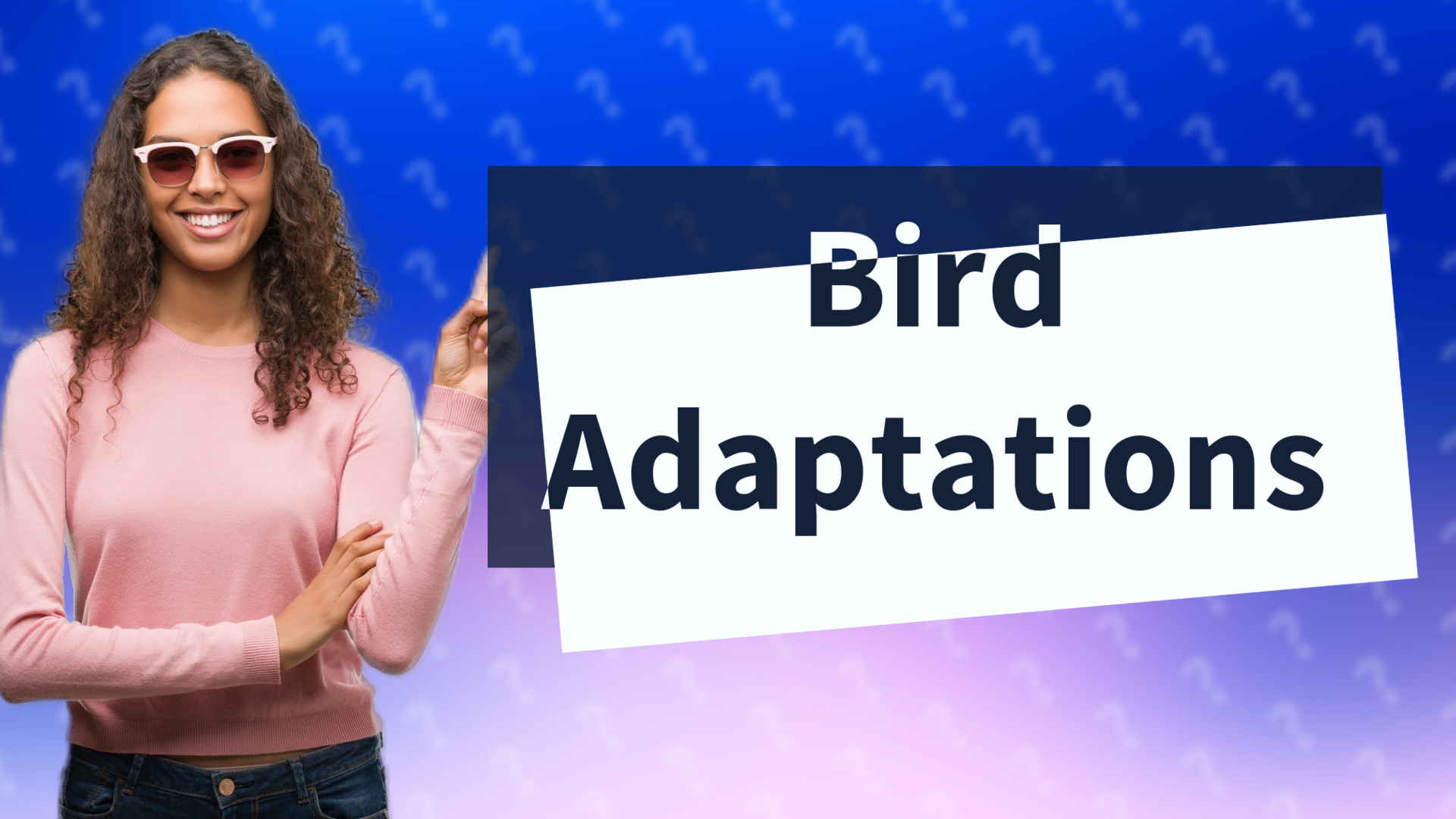 Bird Adaptations