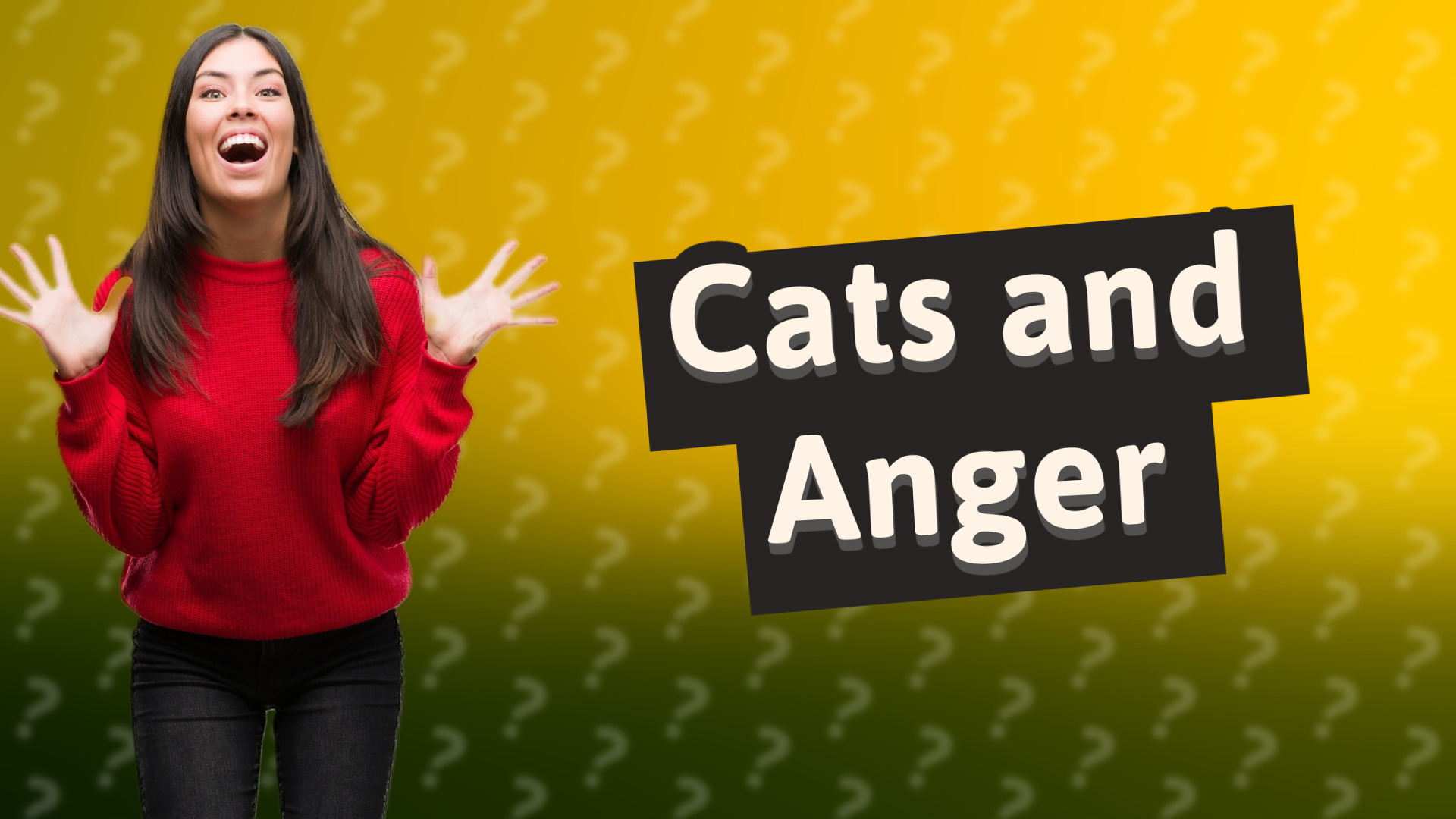 Cats and Anger
