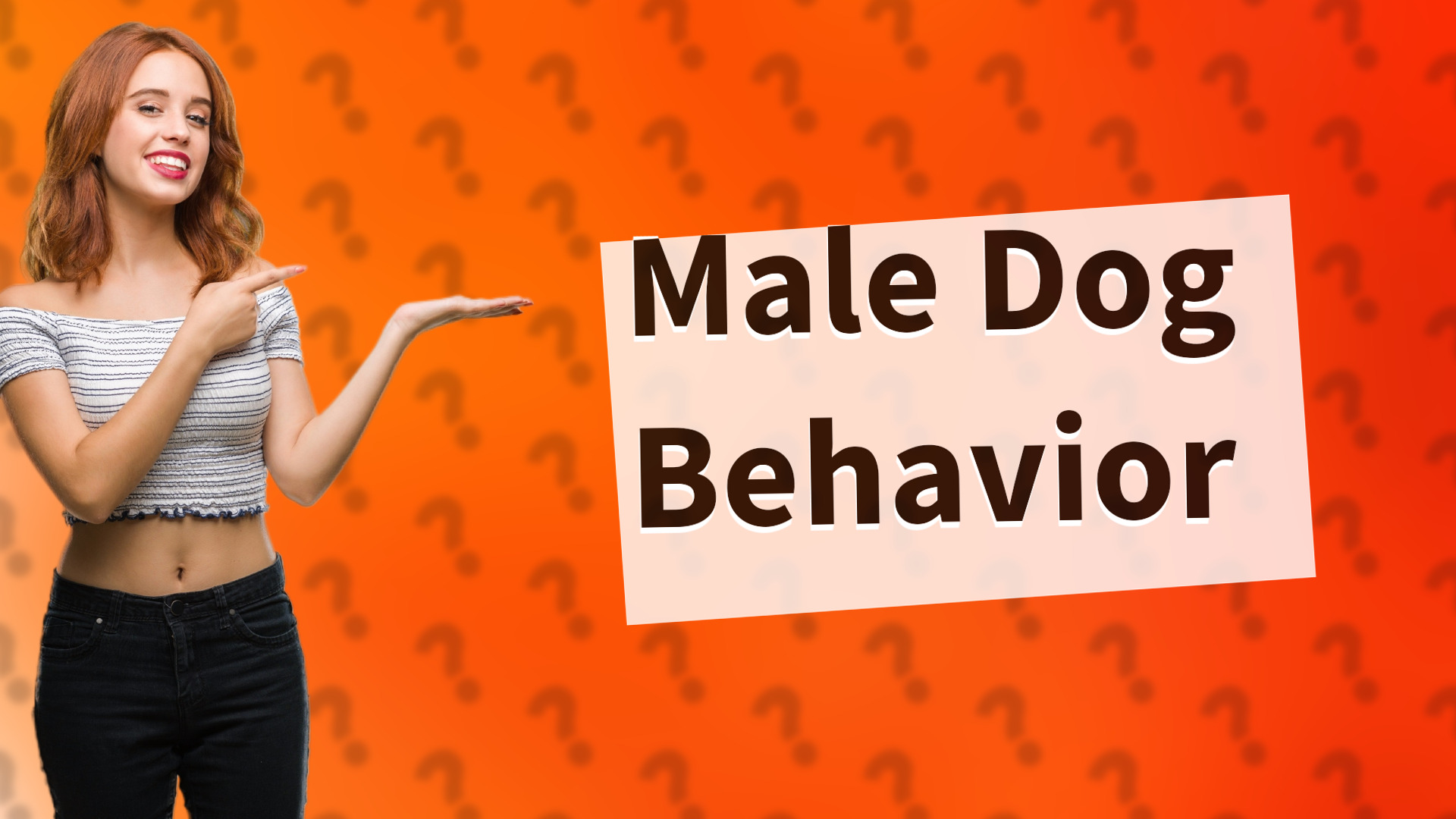 Male Dog Behavior