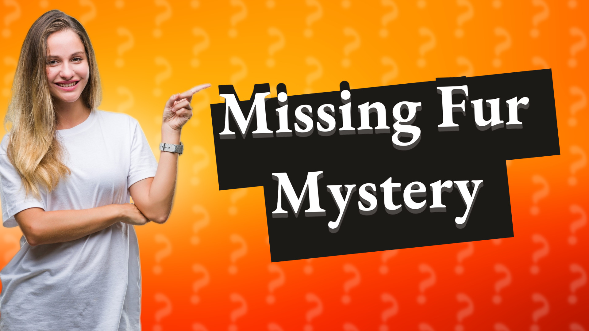 Missing Fur Mystery