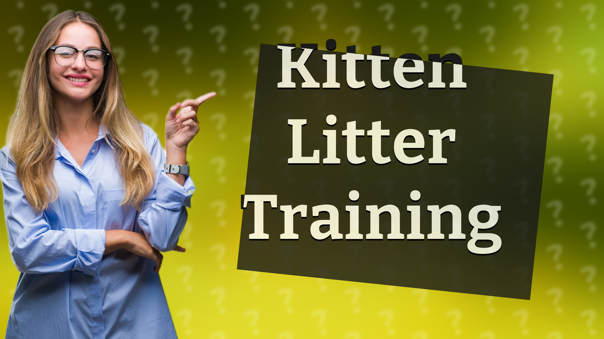 Kitten Litter Training