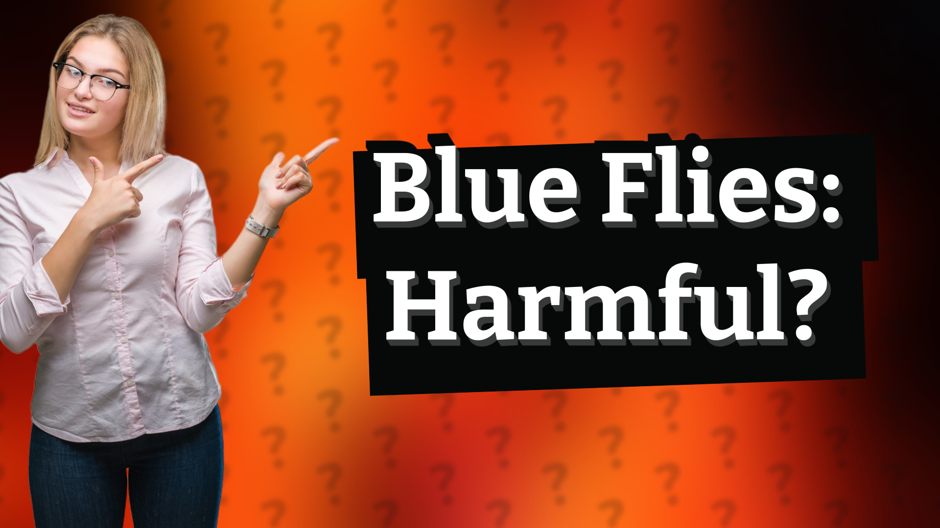 Blue Flies: Harmful?