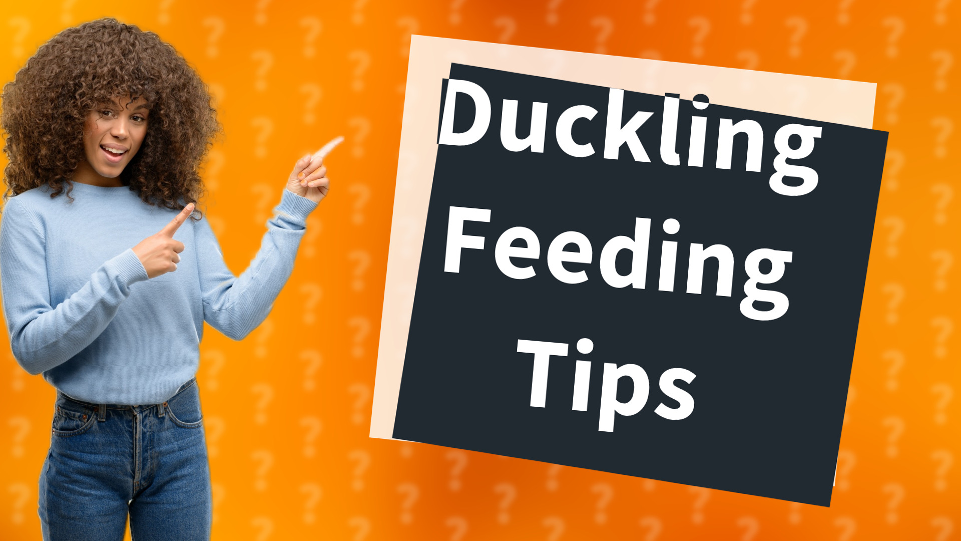 Duckling Feeding Tips