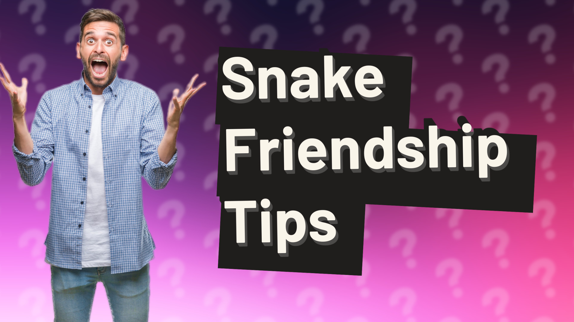 Snake Friendship Tips