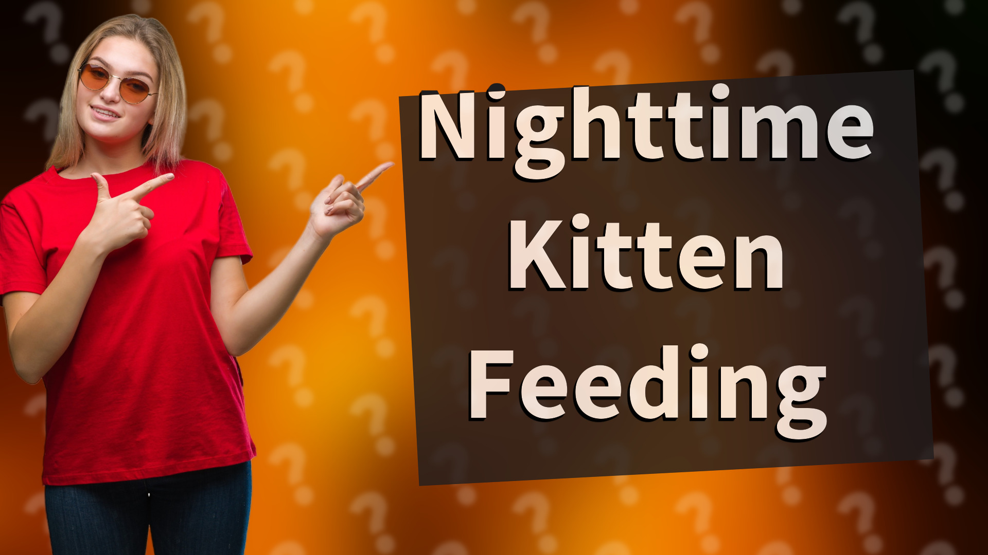 Nighttime Kitten Feeding