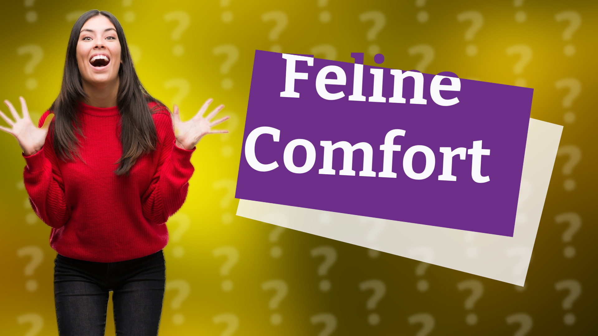 Feline Comfort