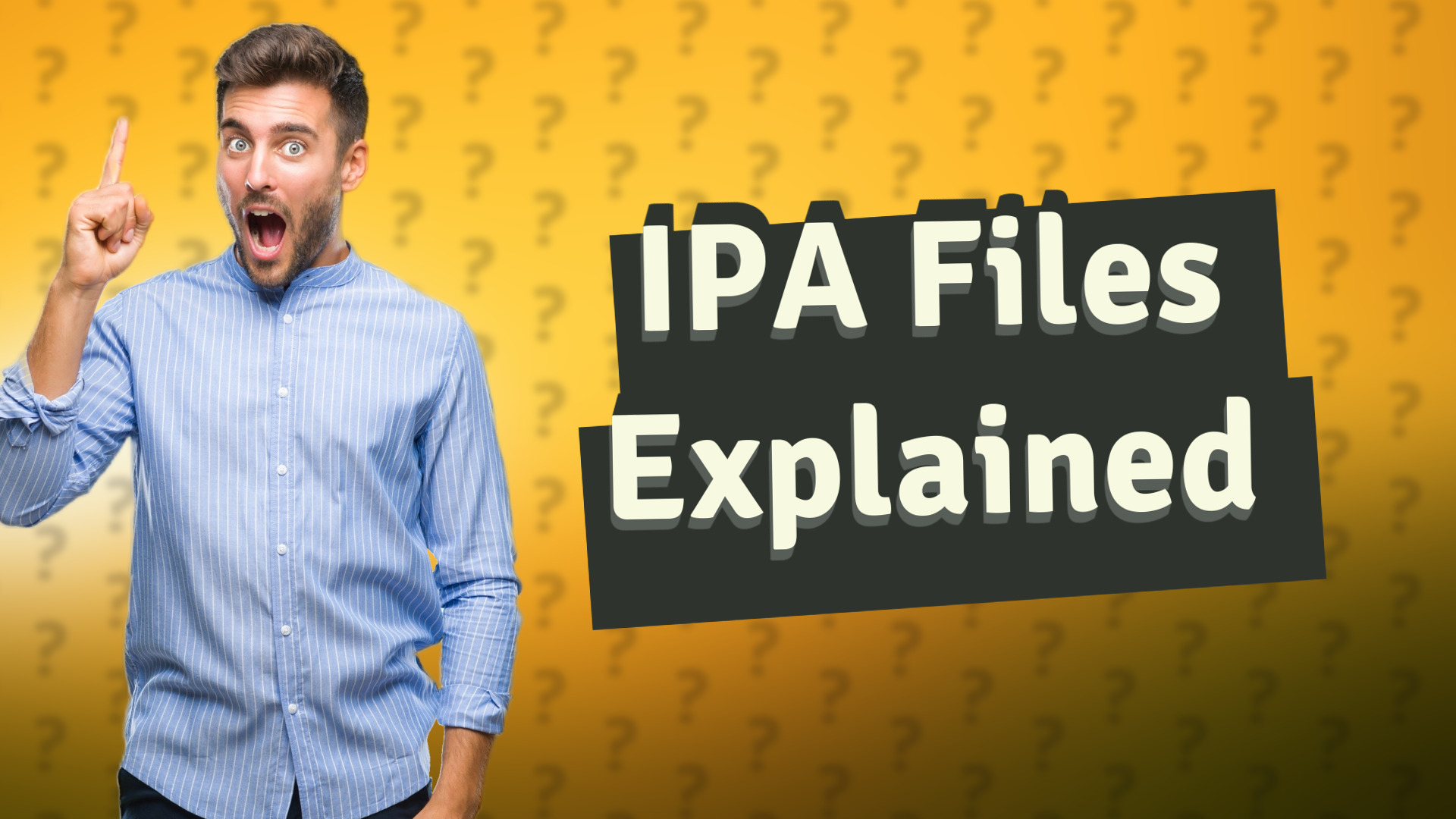 IPA Files Explained