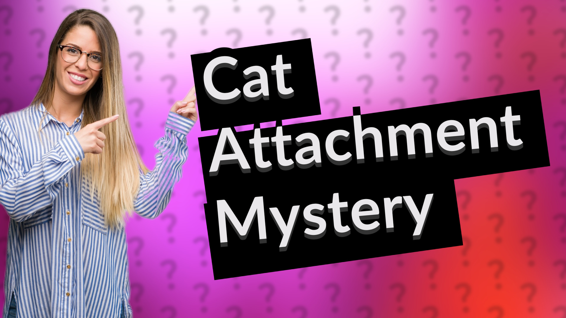 Cat Attachment Mystery