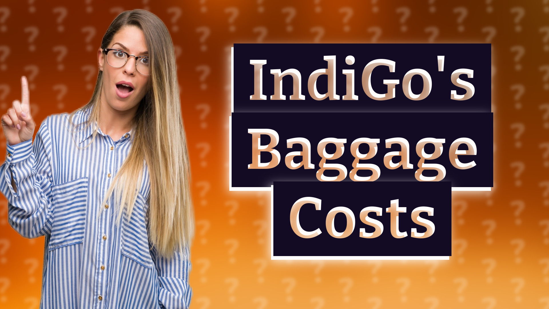 IndiGo's Baggage Costs