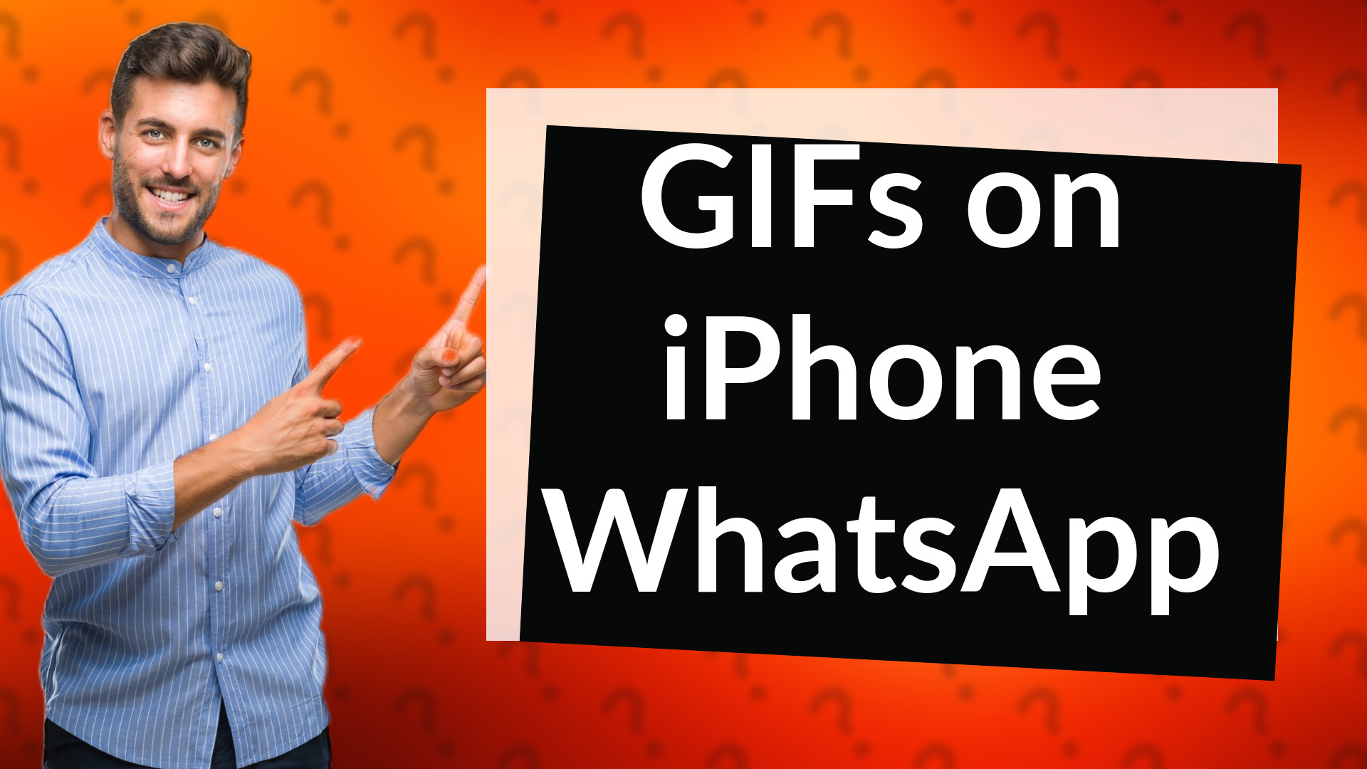 GIFs on iPhone WhatsApp