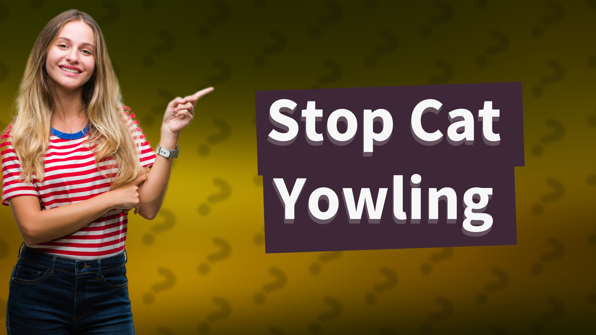 Stop Cat Yowling