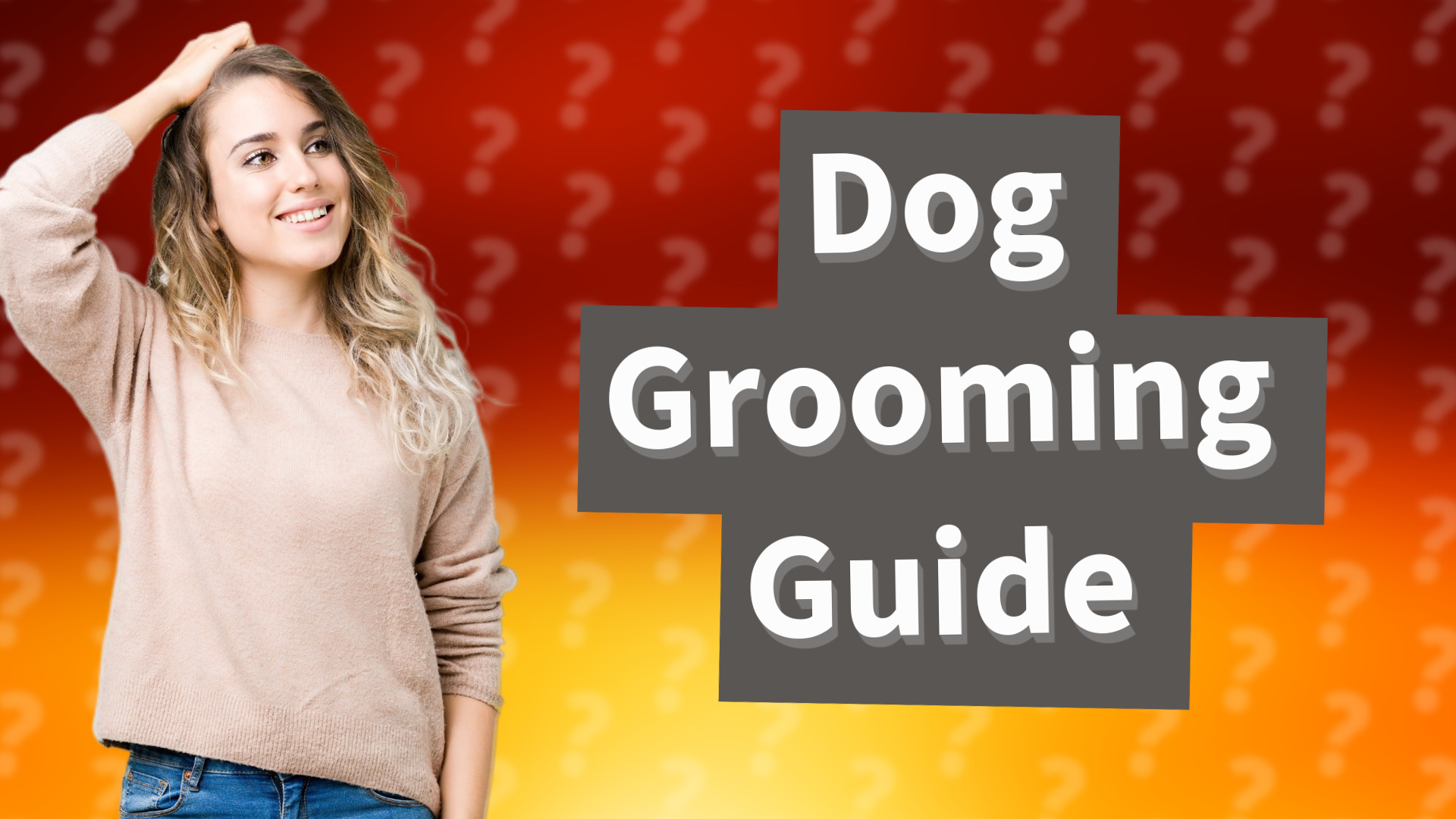 Dog Grooming Guide