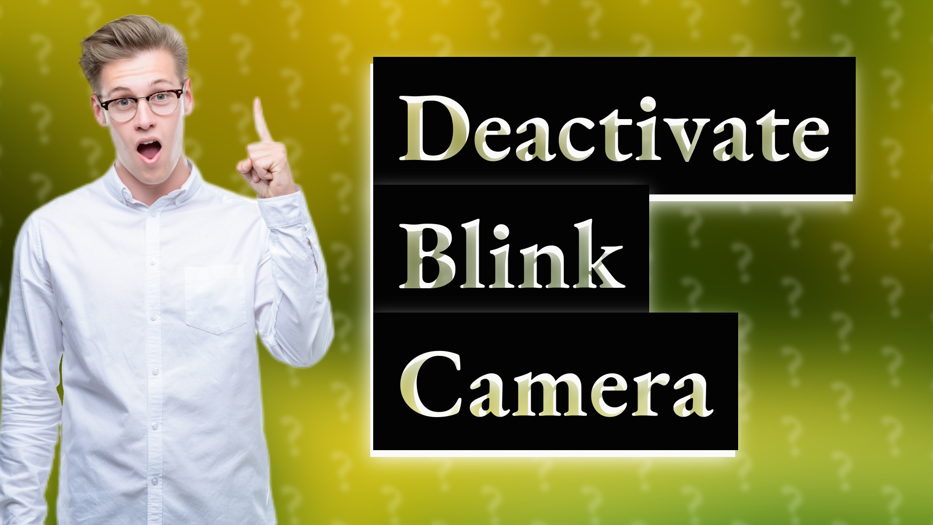 Deactivate Blink Camera