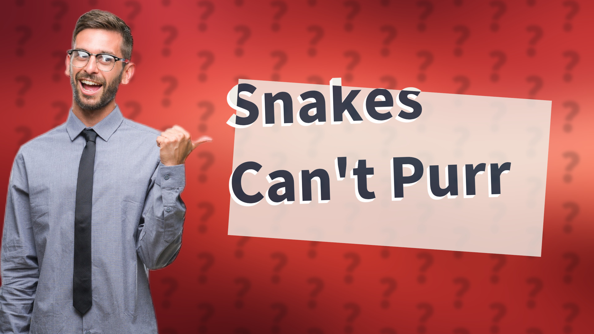 Snakes Can't Purr