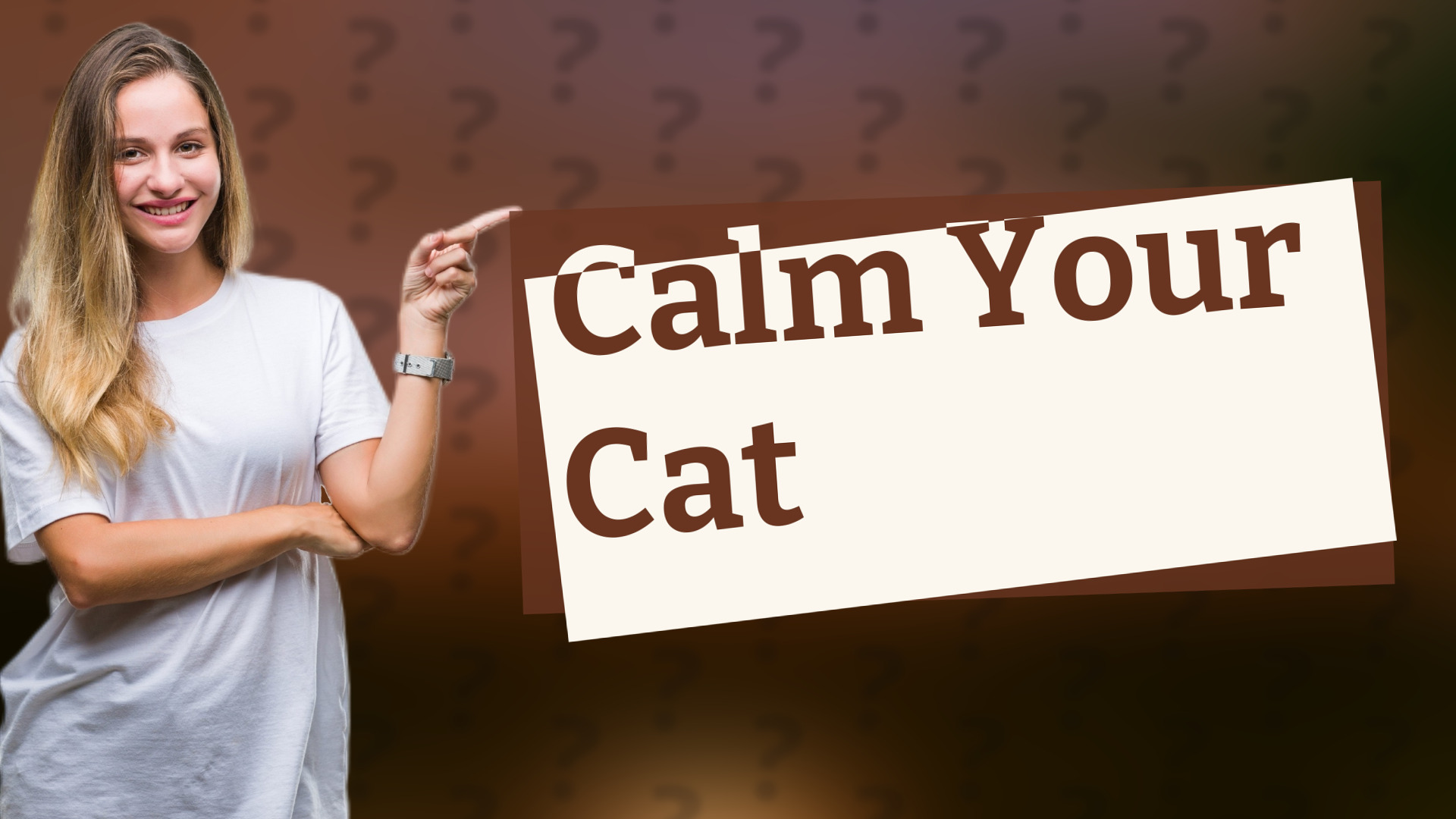 Calm Your Cat