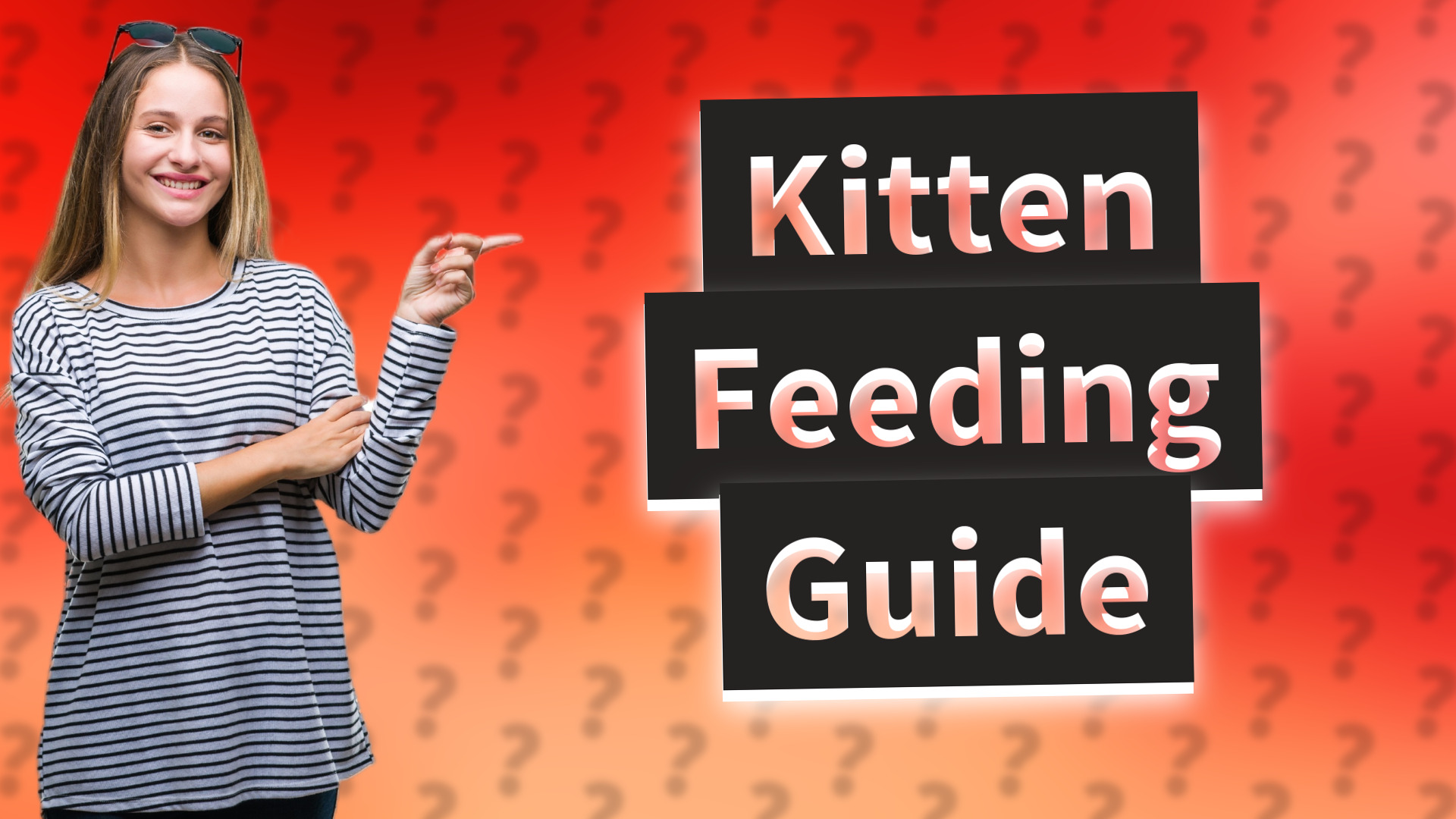 Kitten Feeding Guide