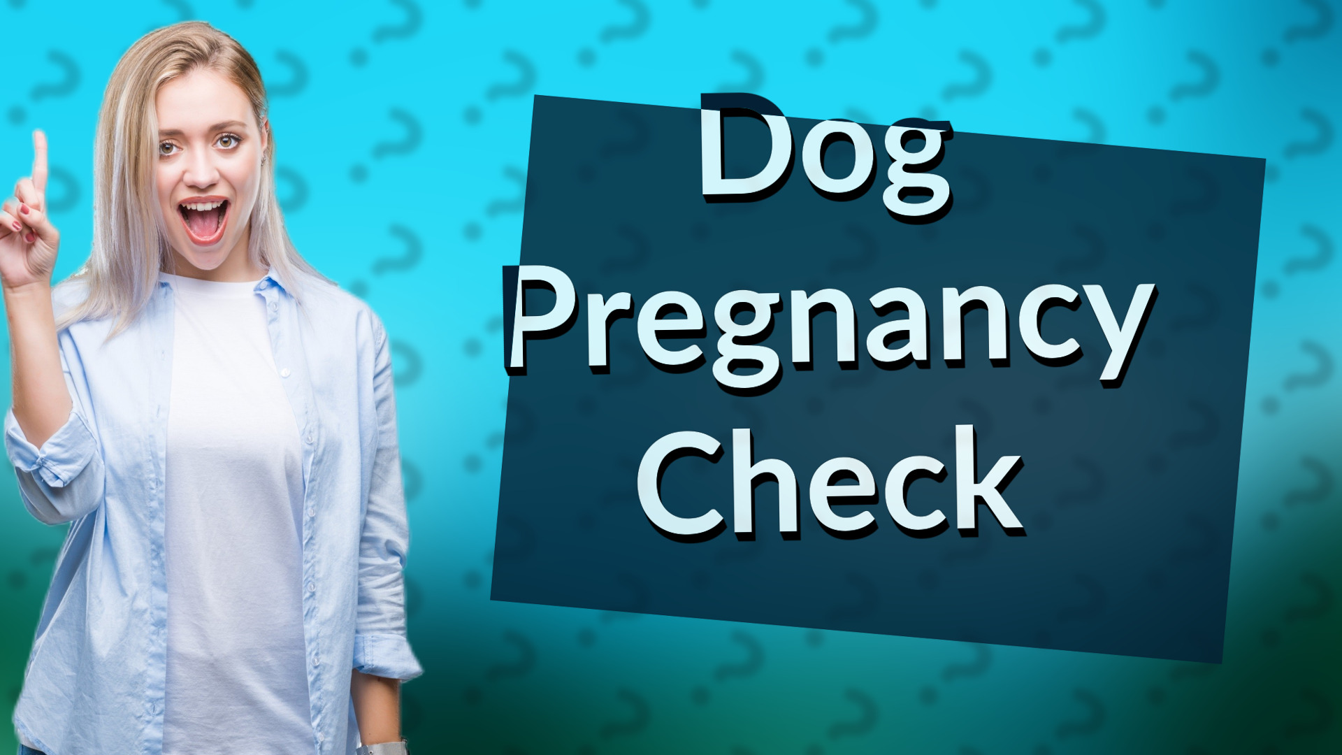 Dog Pregnancy Check