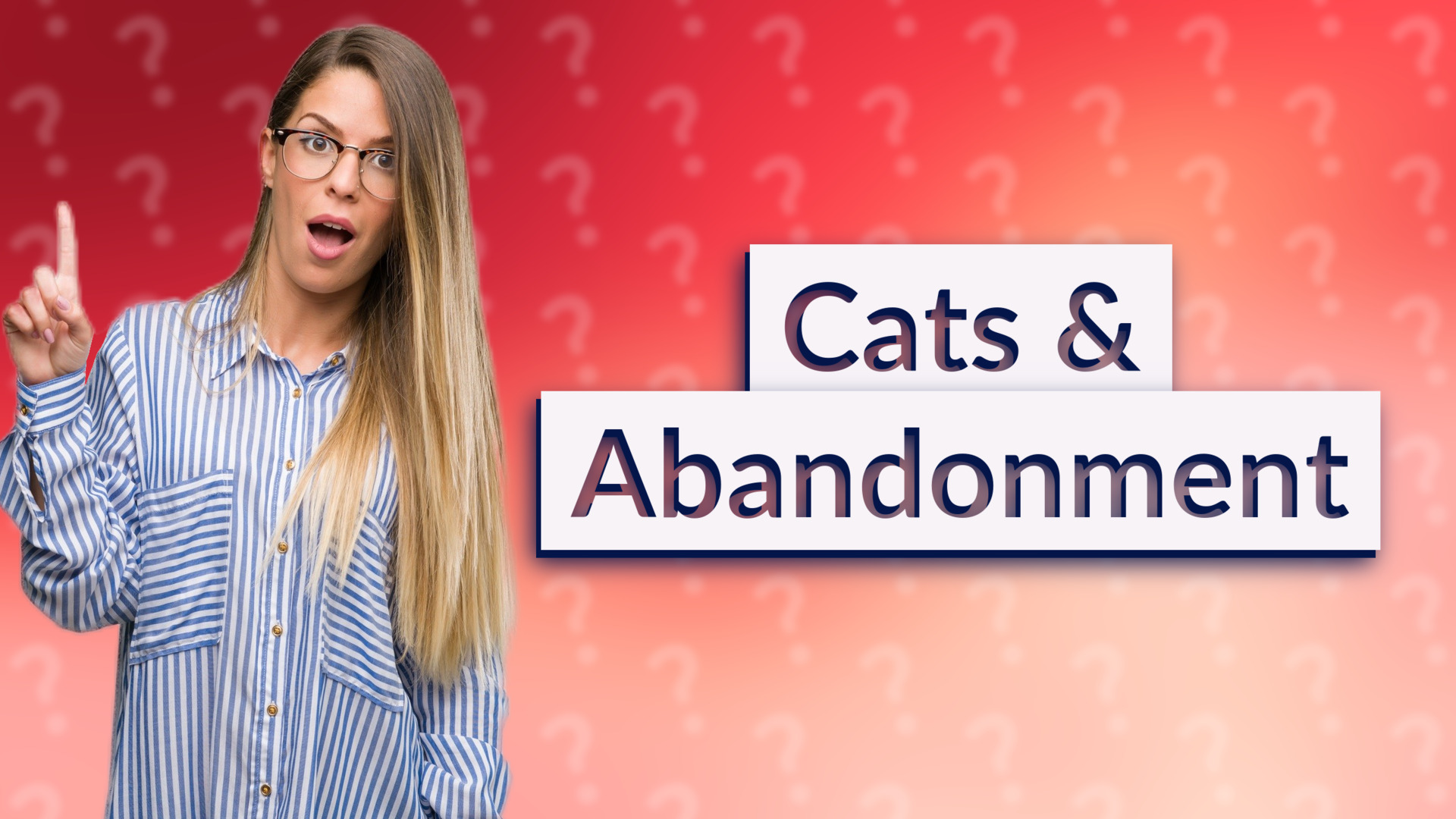 Cats & Abandonment