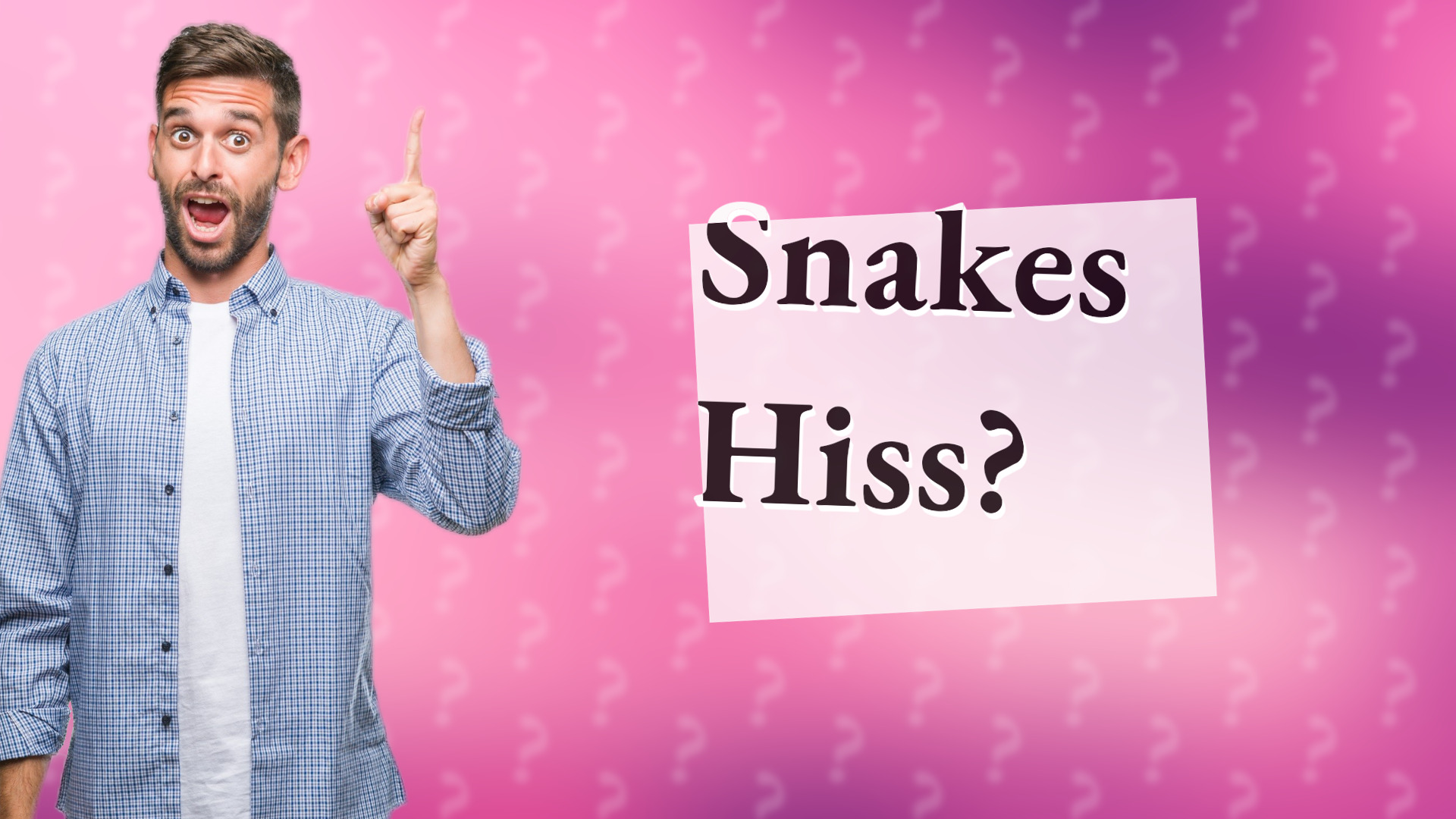 Snakes Hiss?