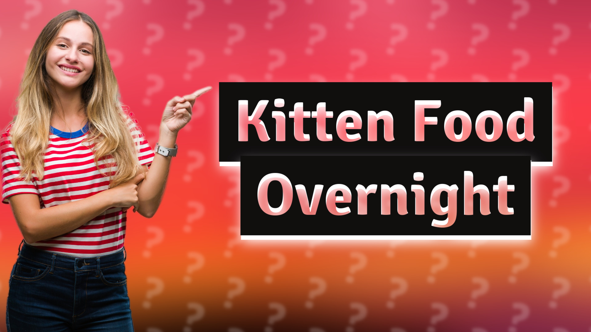 Kitten Food Overnight