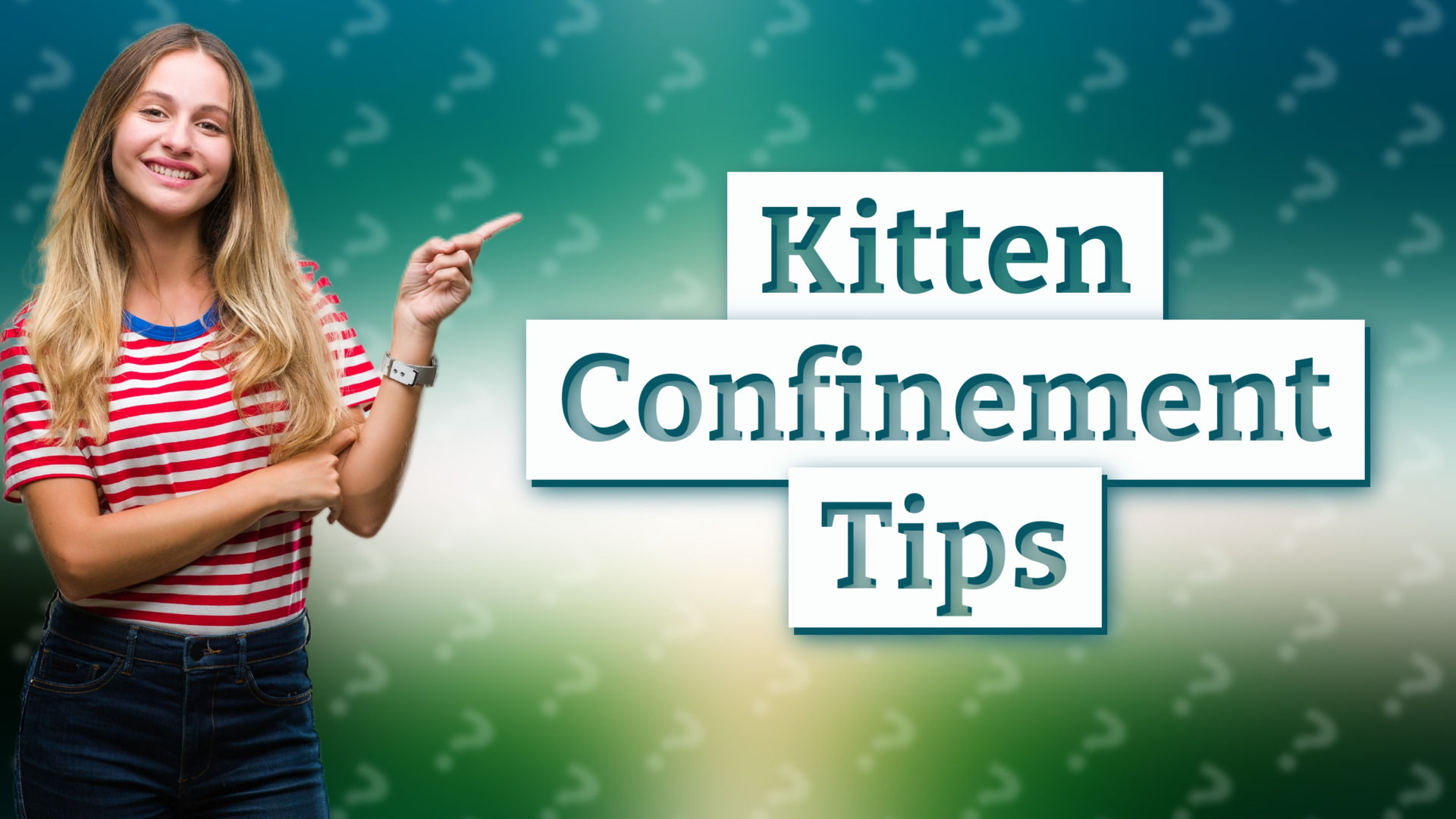 Kitten Confinement Tips