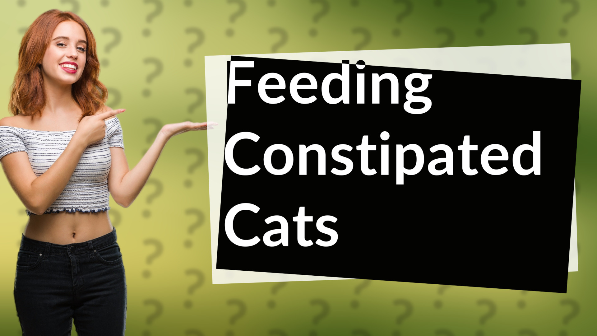 Feeding Constipated Cats