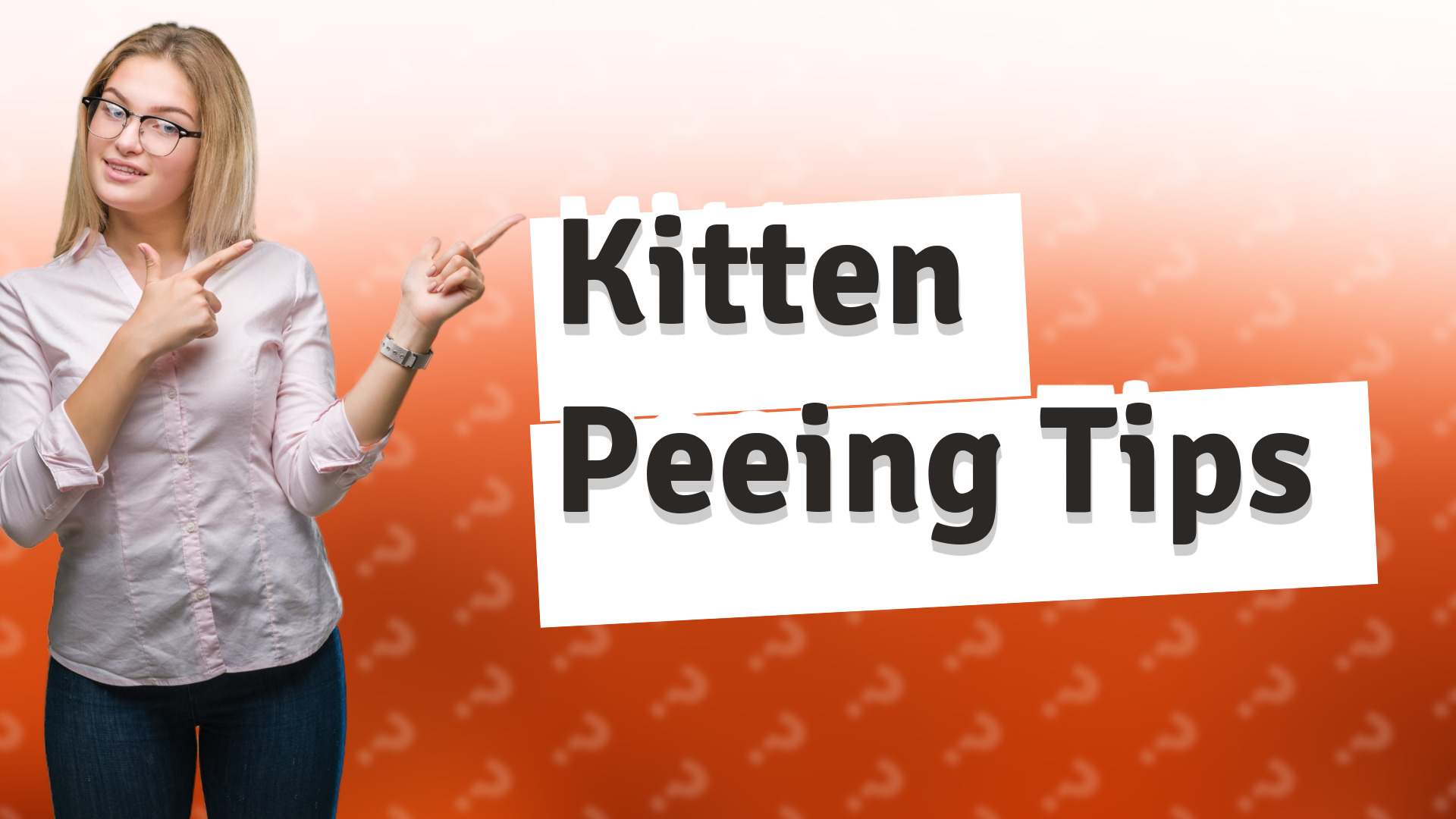 Kitten Peeing Tips