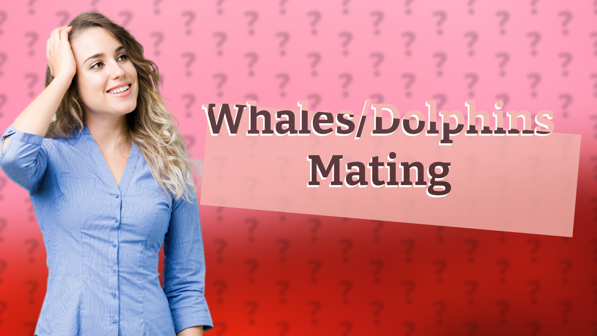 Whales/Dolphins Mating