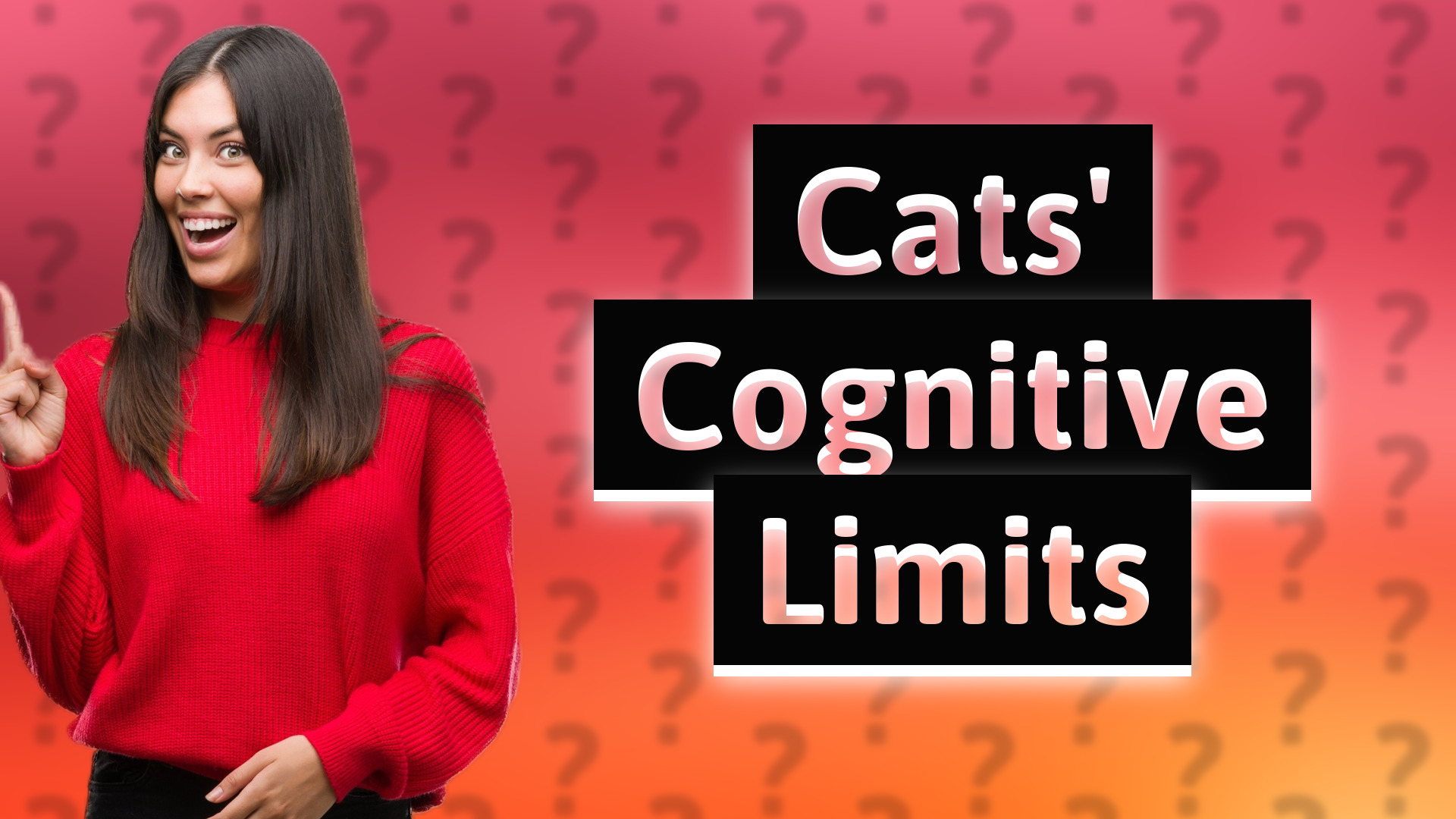 Cats' Cognitive Limits