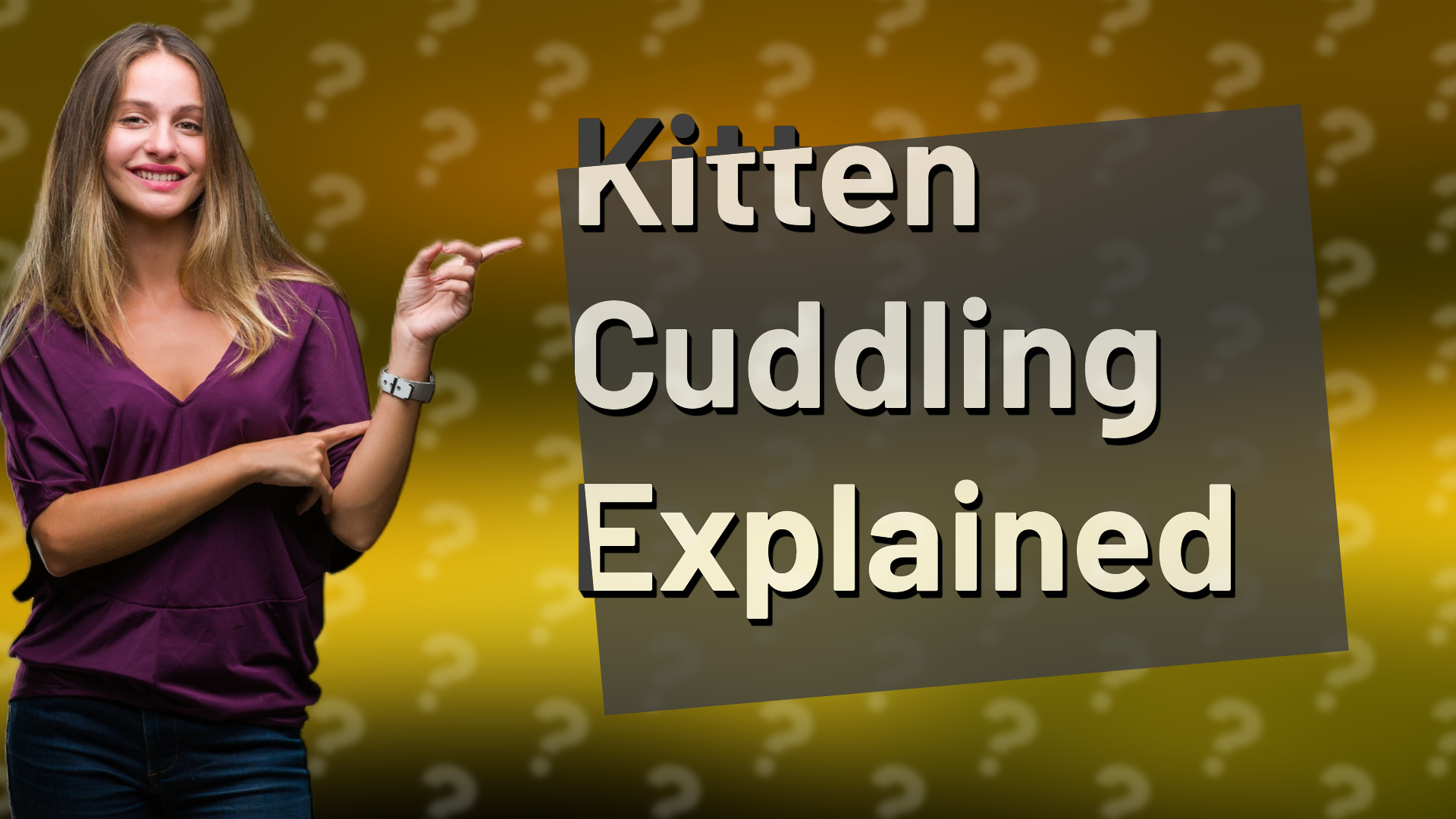 Kitten Cuddling Explained