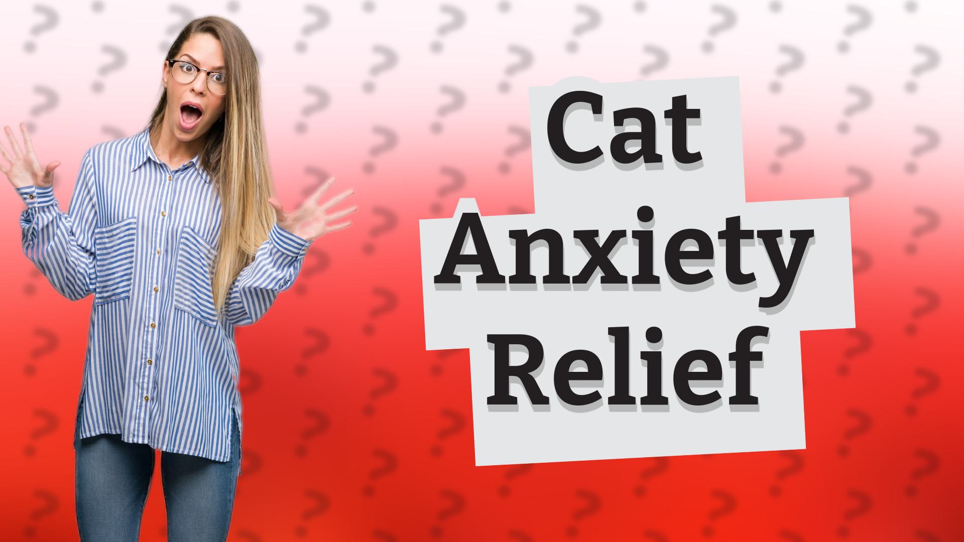 Cat Anxiety Relief