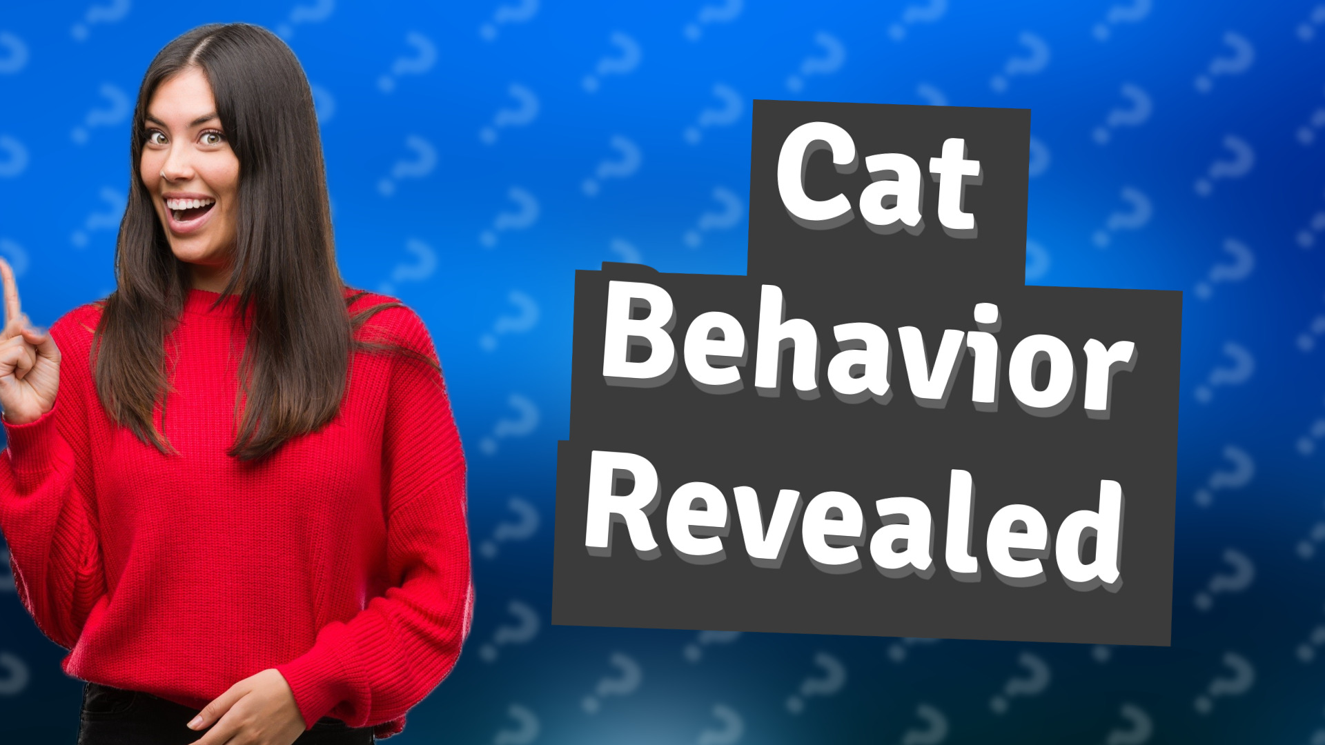 Cat Behavior Revealed